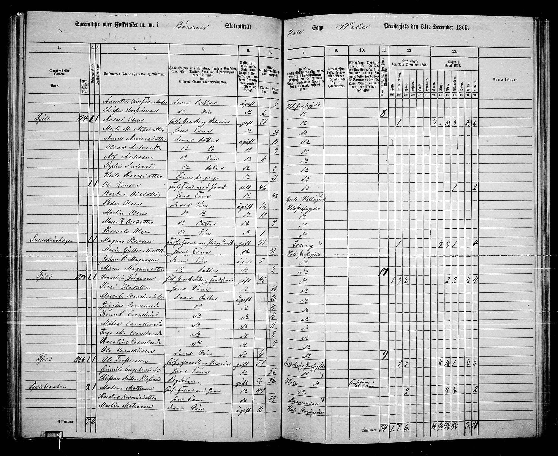 RA, 1865 census for Hole, 1865, p. 91