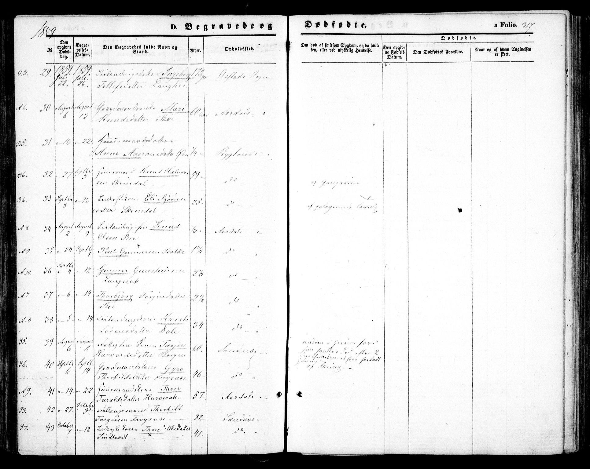 Bygland sokneprestkontor, AV/SAK-1111-0006/F/Fa/Fab/L0005: Parish register (official) no. A 5, 1859-1873, p. 317