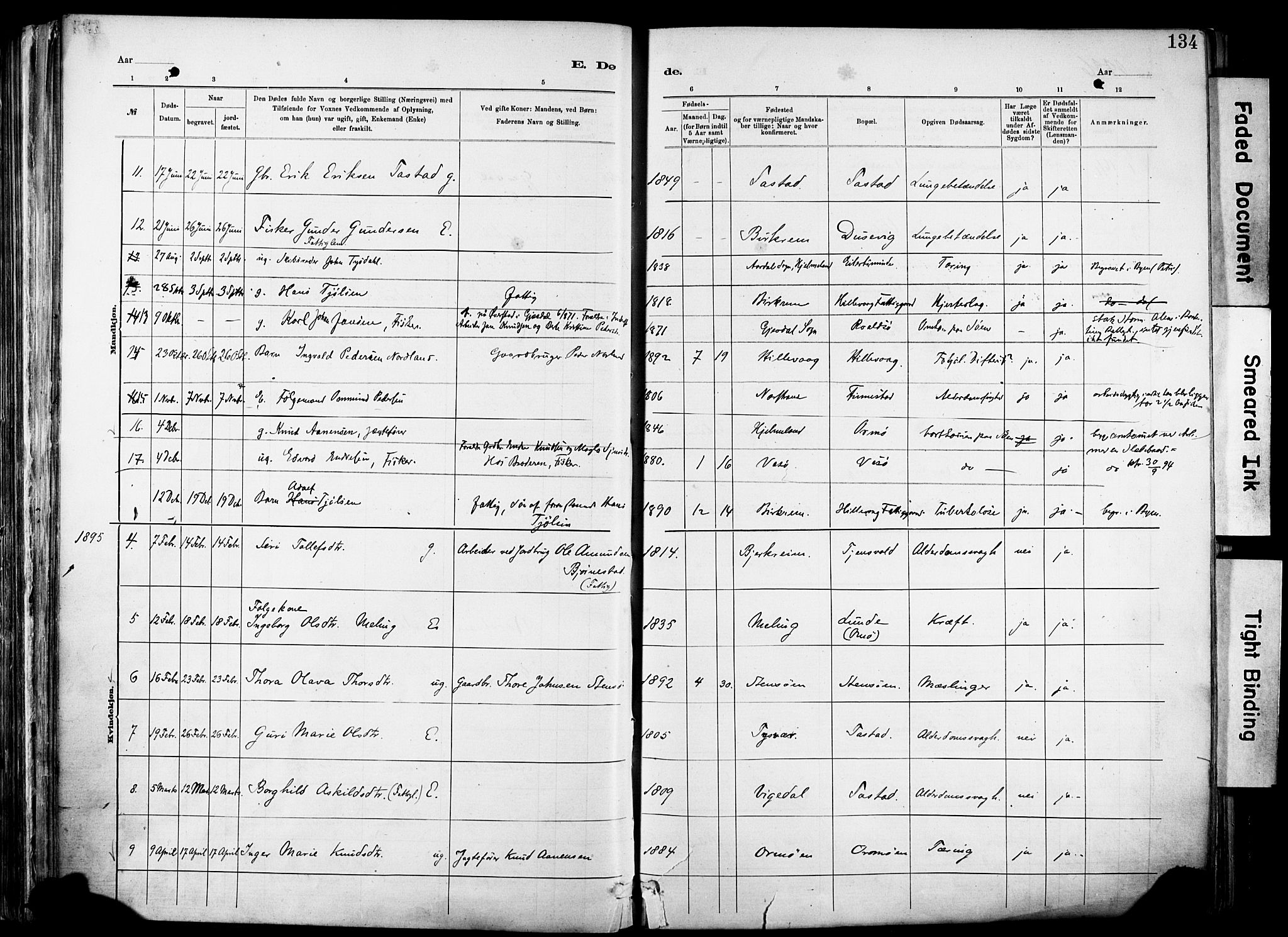 Hetland sokneprestkontor, SAST/A-101826/30/30BA/L0012: Parish register (official) no. A 12, 1882-1912, p. 134
