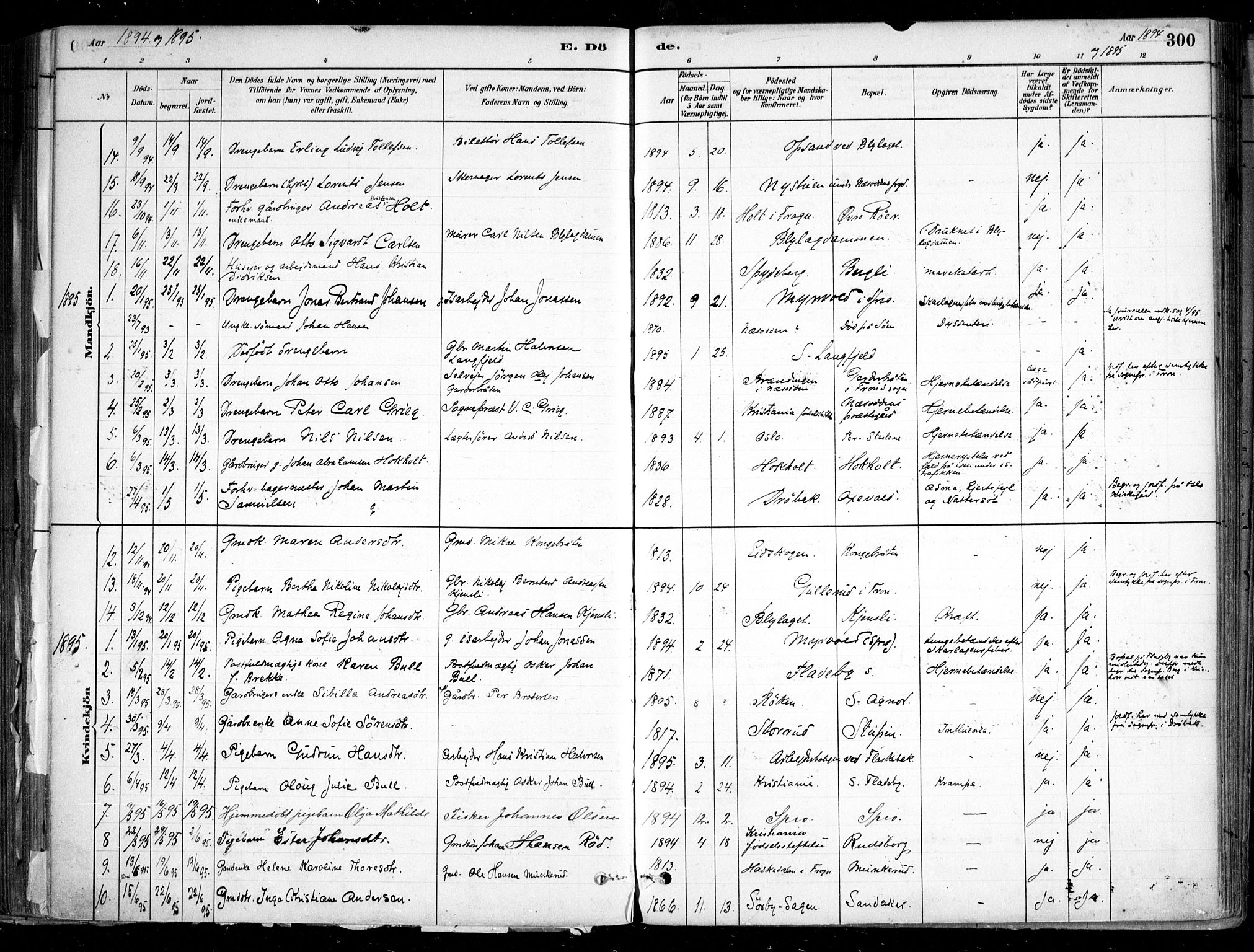 Nesodden prestekontor Kirkebøker, SAO/A-10013/F/Fa/L0009: Parish register (official) no. I 9, 1880-1915, p. 300