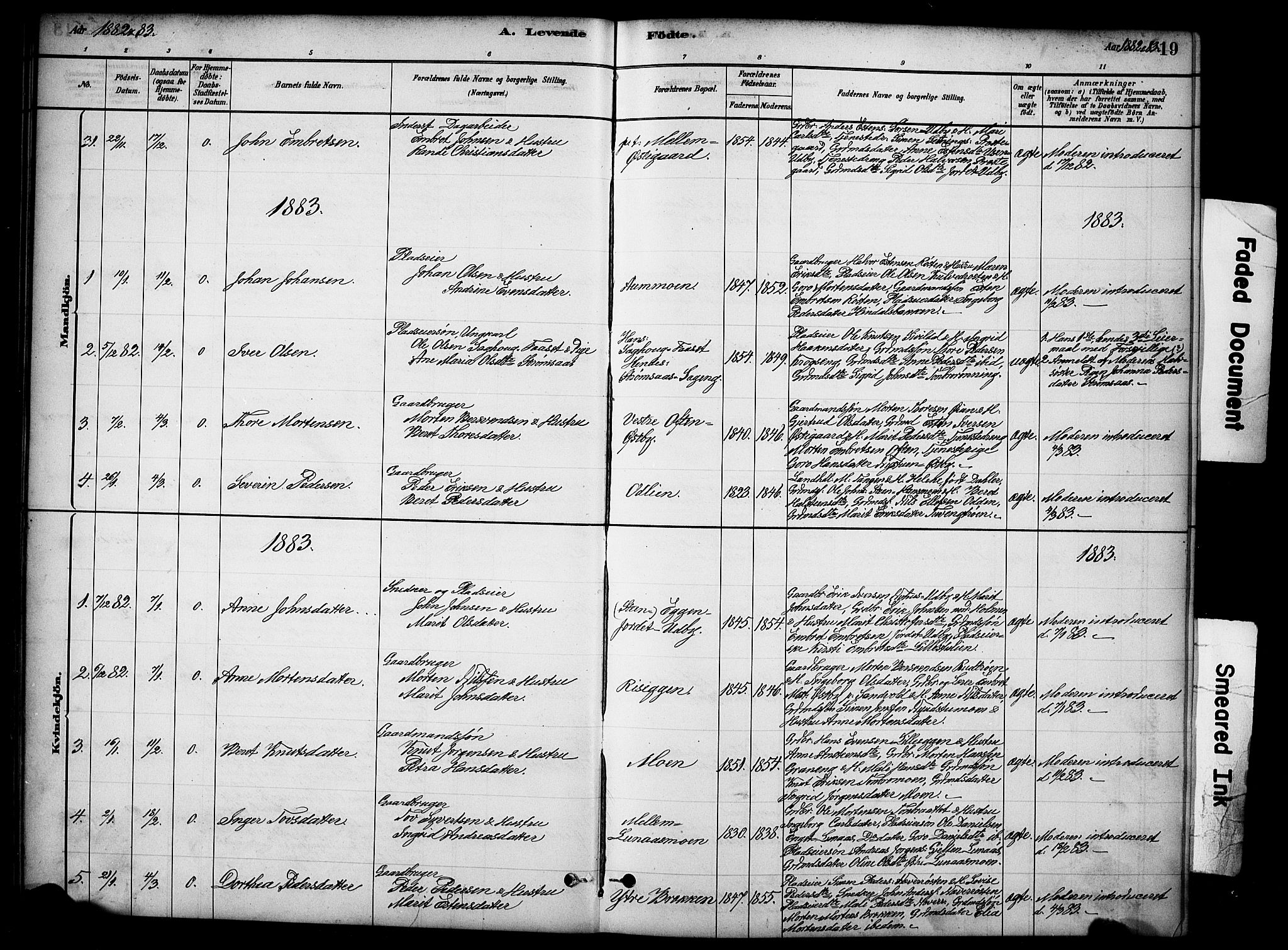 Tynset prestekontor, SAH/PREST-058/H/Ha/Hab/L0006: Parish register (copy) no. 6, 1880-1899, p. 19