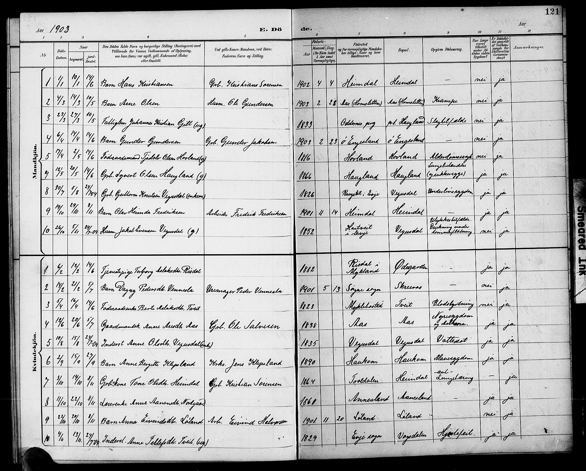 Herefoss sokneprestkontor, AV/SAK-1111-0019/F/Fb/Fbb/L0003: Parish register (copy) no. B 3, 1892-1917, p. 121