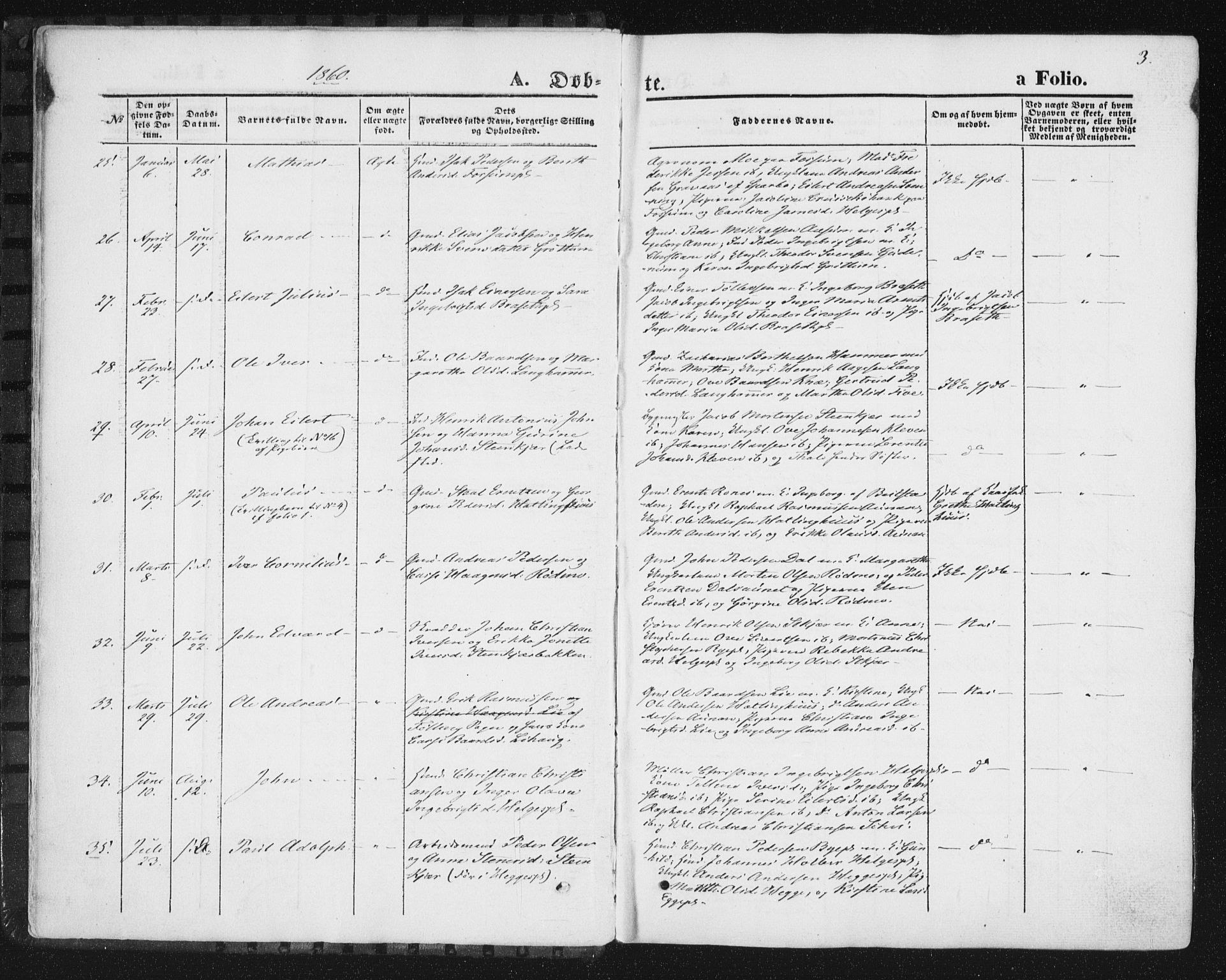 Ministerialprotokoller, klokkerbøker og fødselsregistre - Nord-Trøndelag, AV/SAT-A-1458/746/L0447: Parish register (official) no. 746A06, 1860-1877, p. 3