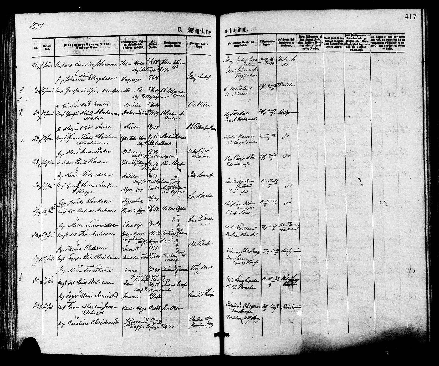 Norderhov kirkebøker, AV/SAKO-A-237/F/Fa/L0015: Parish register (official) no. 15, 1875-1884, p. 417