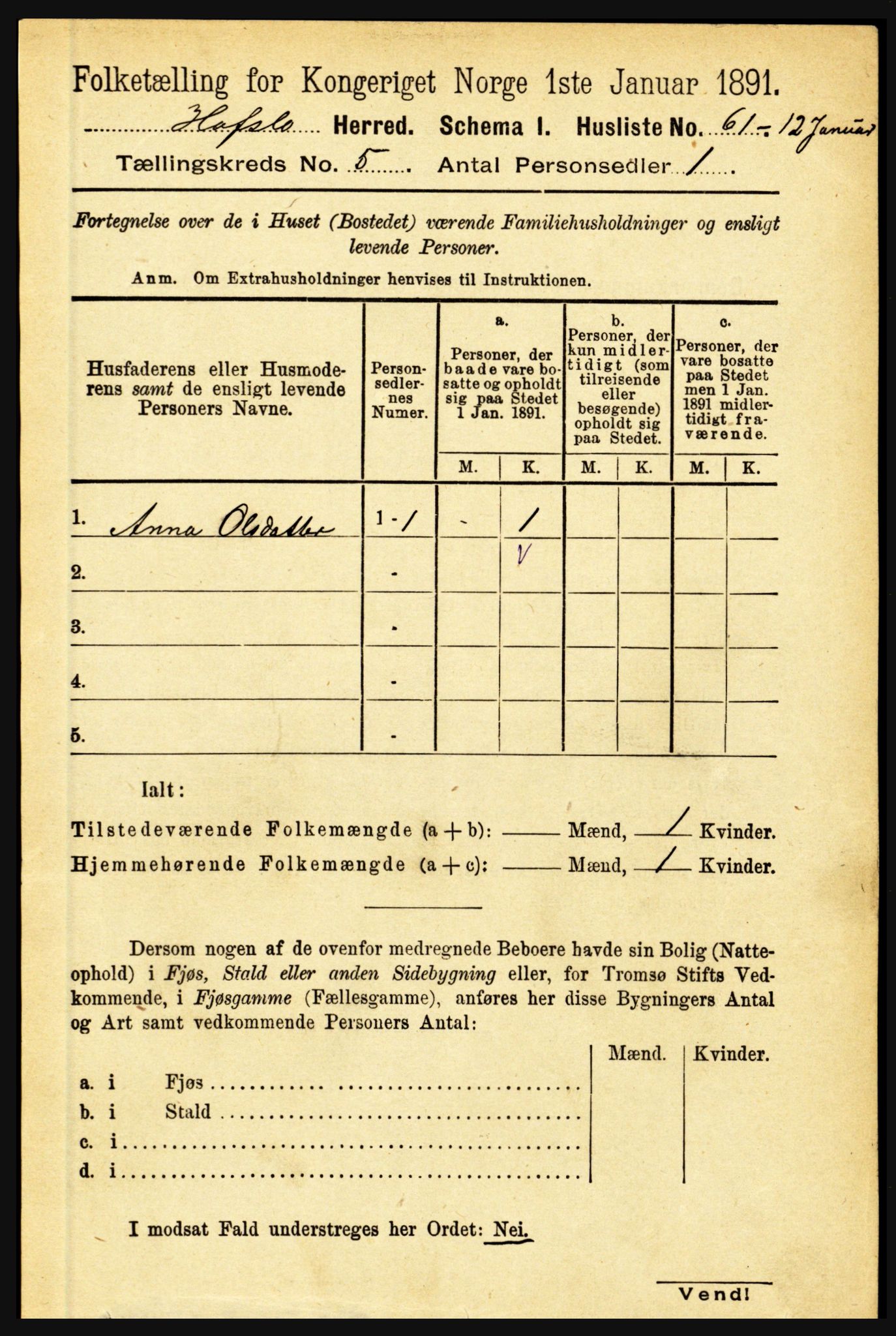 RA, 1891 census for 1425 Hafslo, 1891, p. 1952