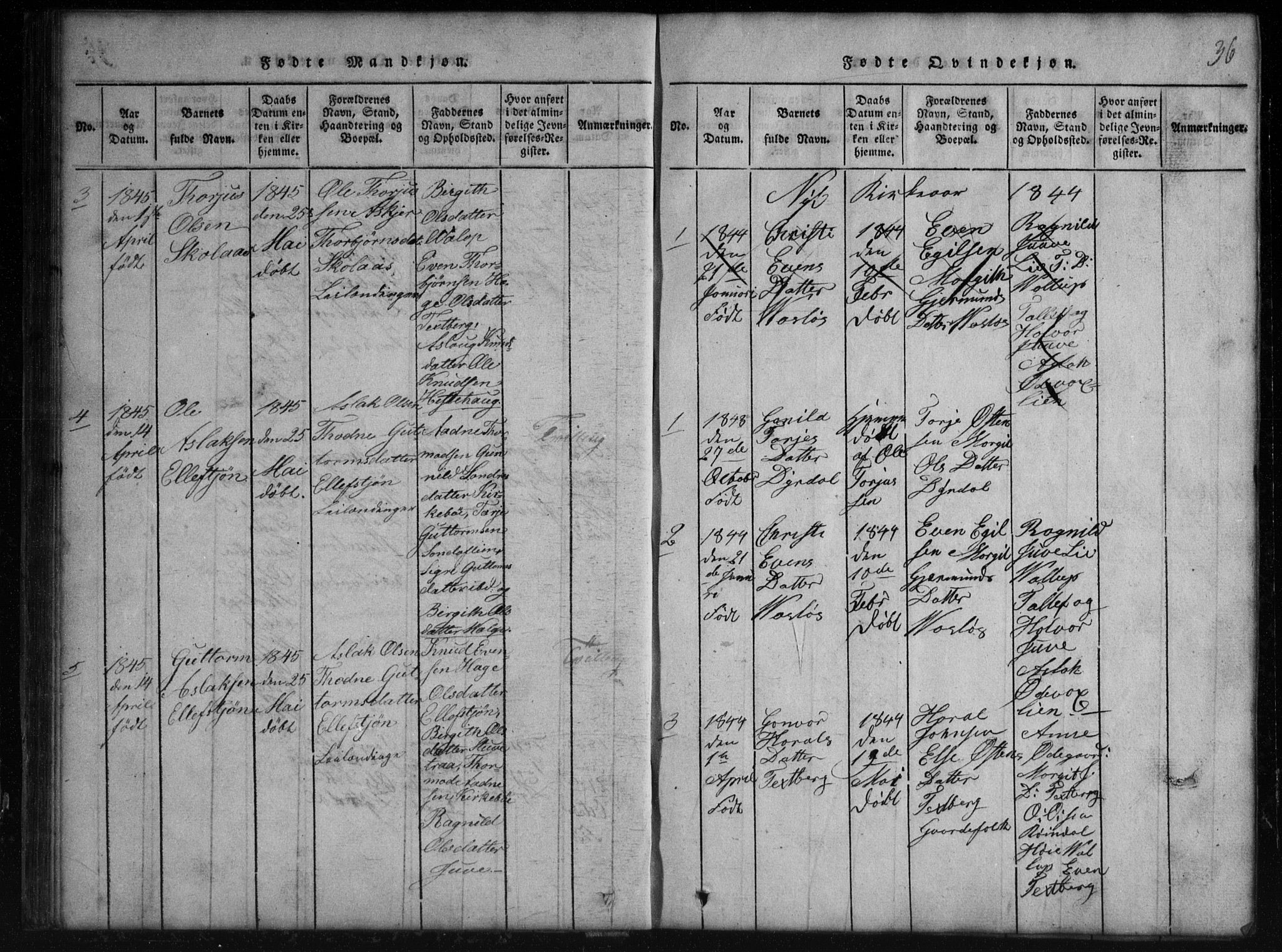 Rauland kirkebøker, SAKO/A-292/G/Gb/L0001: Parish register (copy) no. II 1, 1815-1886, p. 36