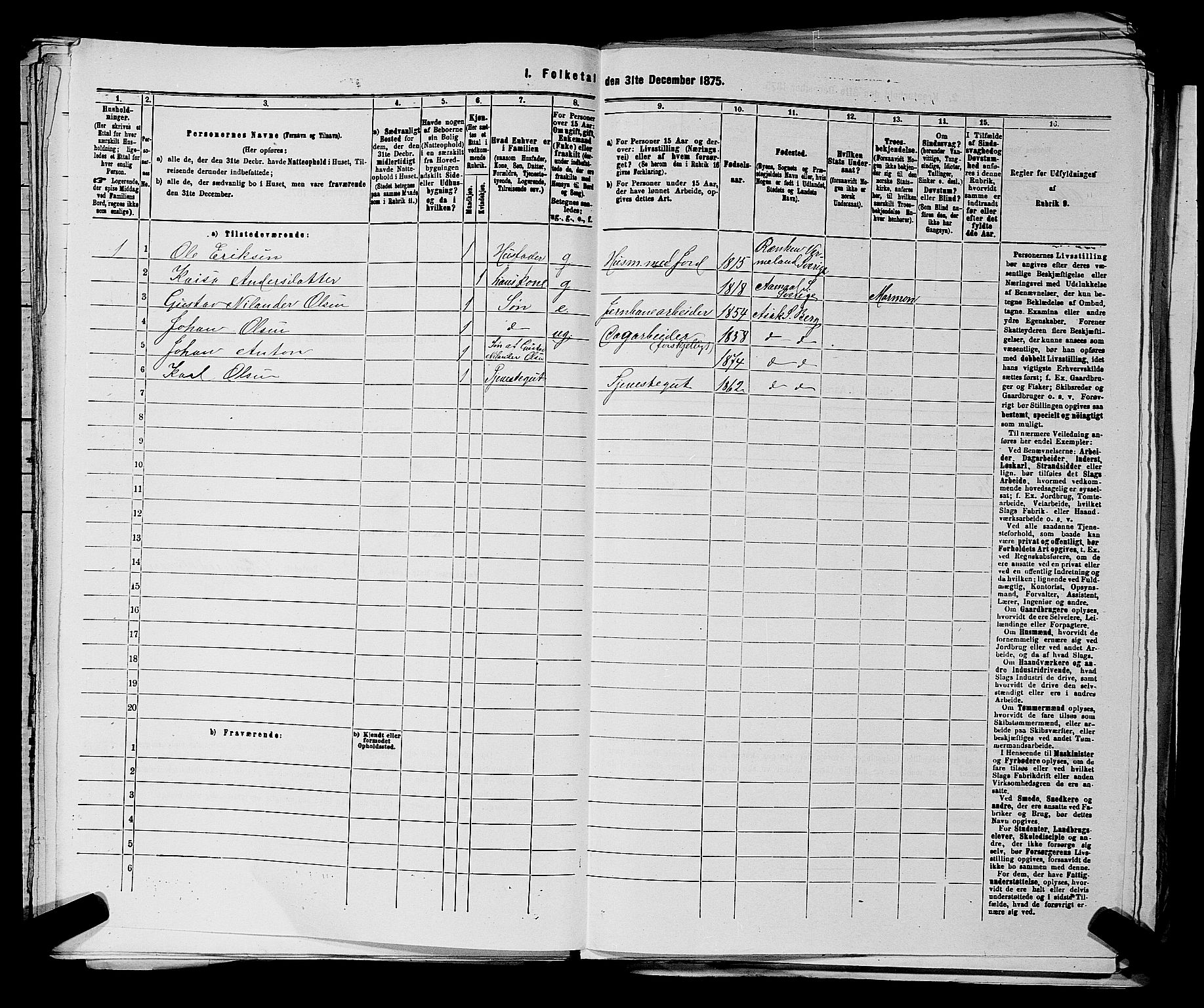RA, 1875 census for 0116P Berg, 1875, p. 700