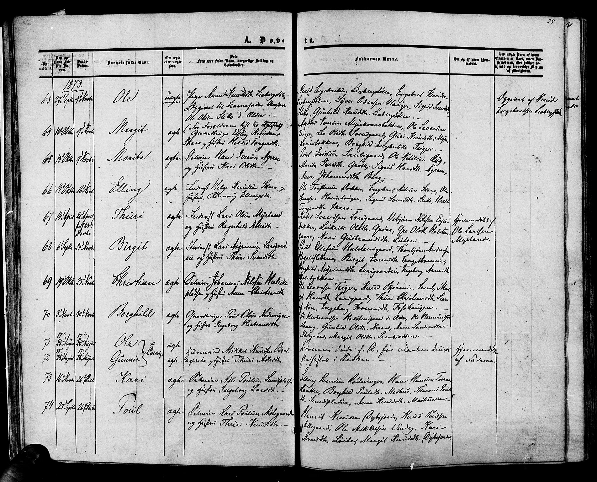Hol kirkebøker, SAKO/A-227/F/Fa/L0002: Parish register (official) no. I 2, 1870-1886, p. 25