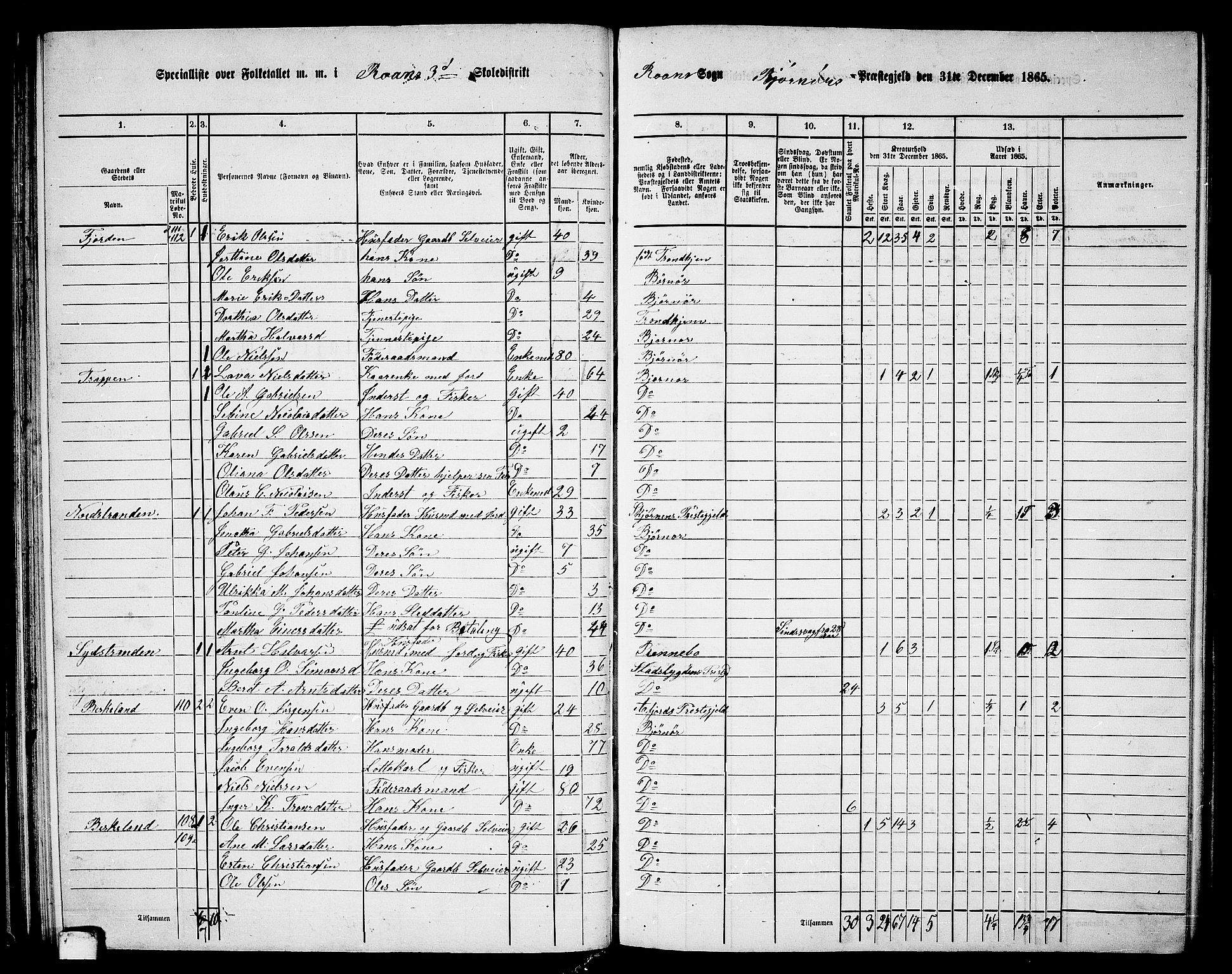 RA, 1865 census for Bjørnør, 1865, p. 61