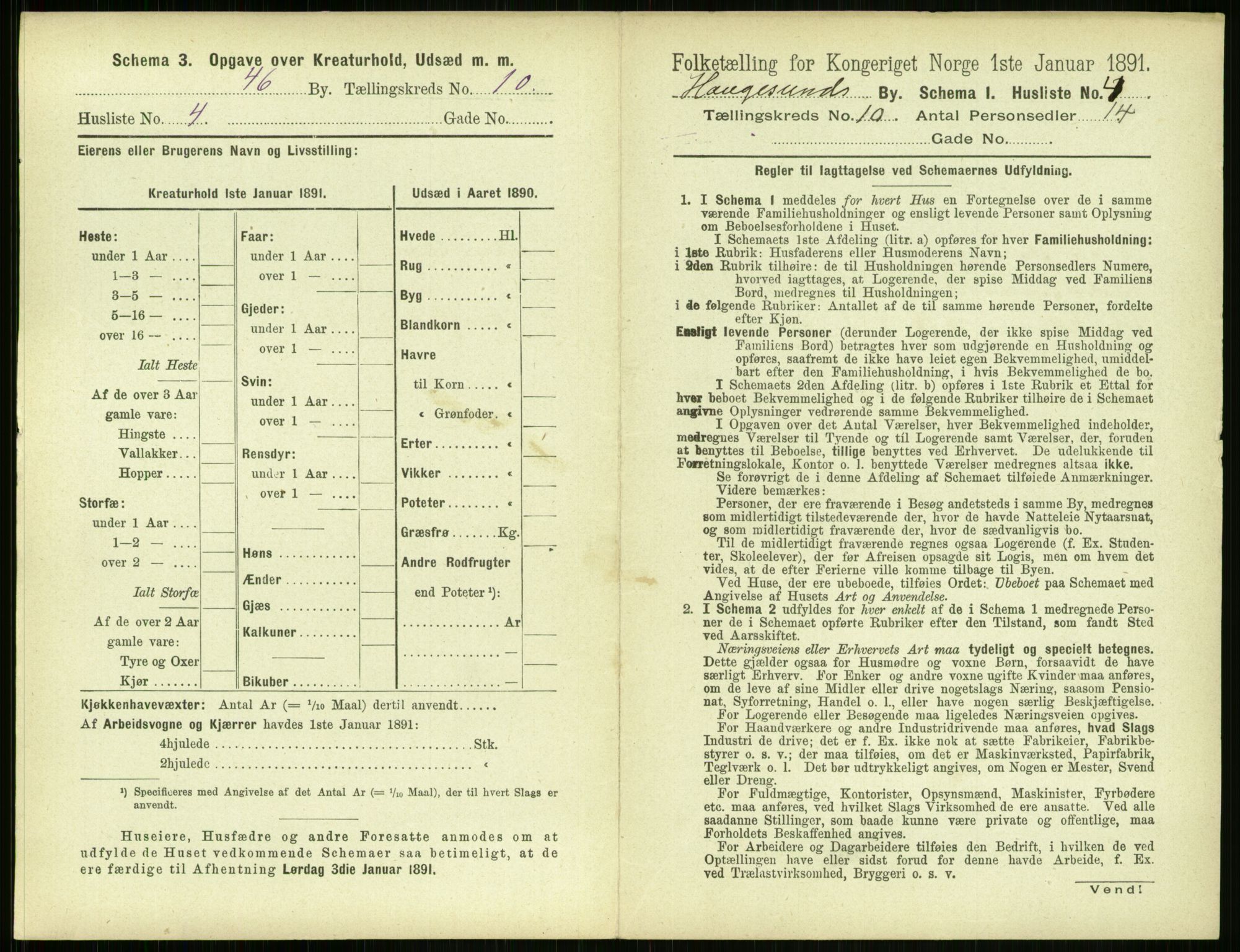 RA, 1891 census for 1106 Haugesund, 1891, p. 689