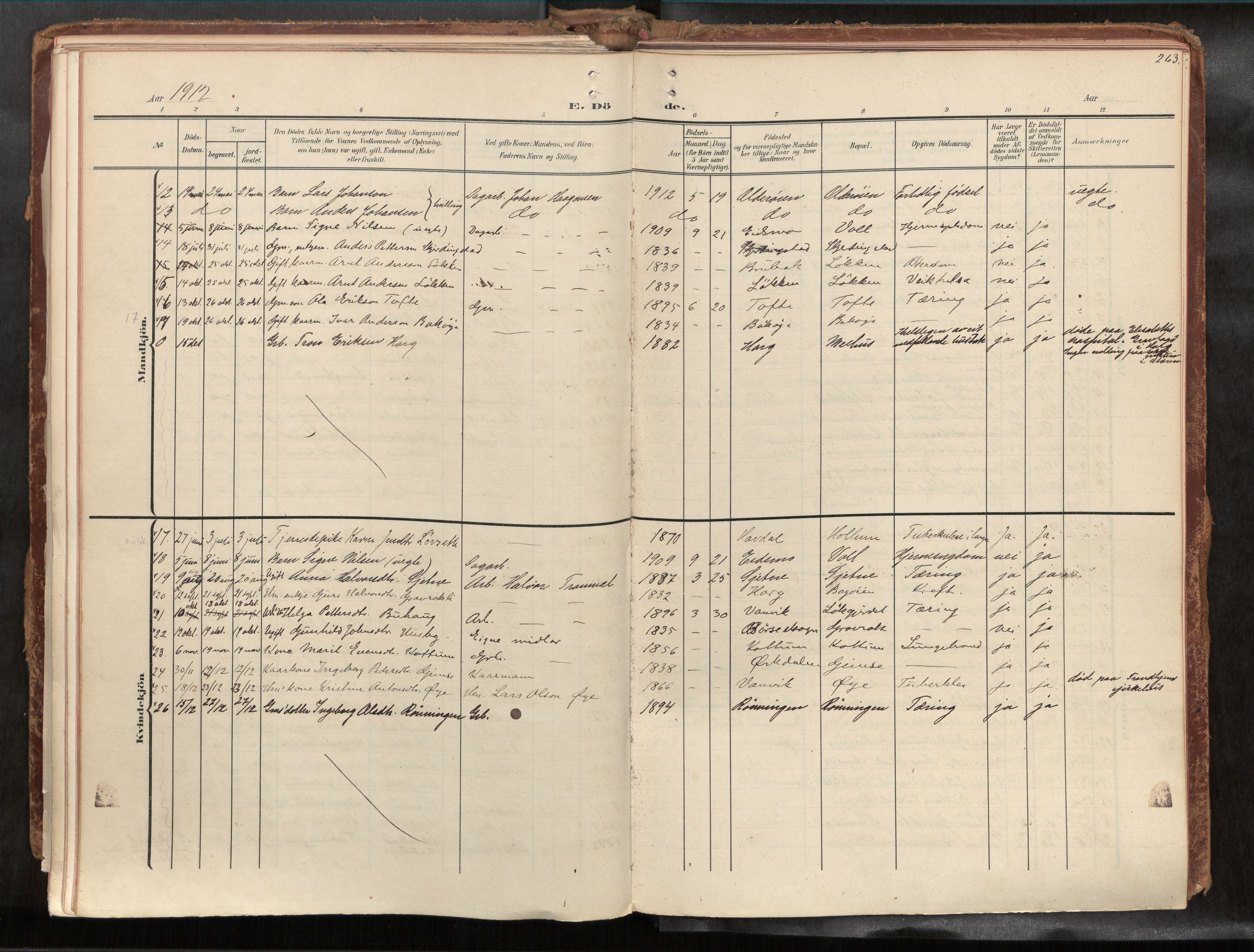 Ministerialprotokoller, klokkerbøker og fødselsregistre - Sør-Trøndelag, AV/SAT-A-1456/691/L1085b: Parish register (official) no. 691A18, 1908-1930, p. 263