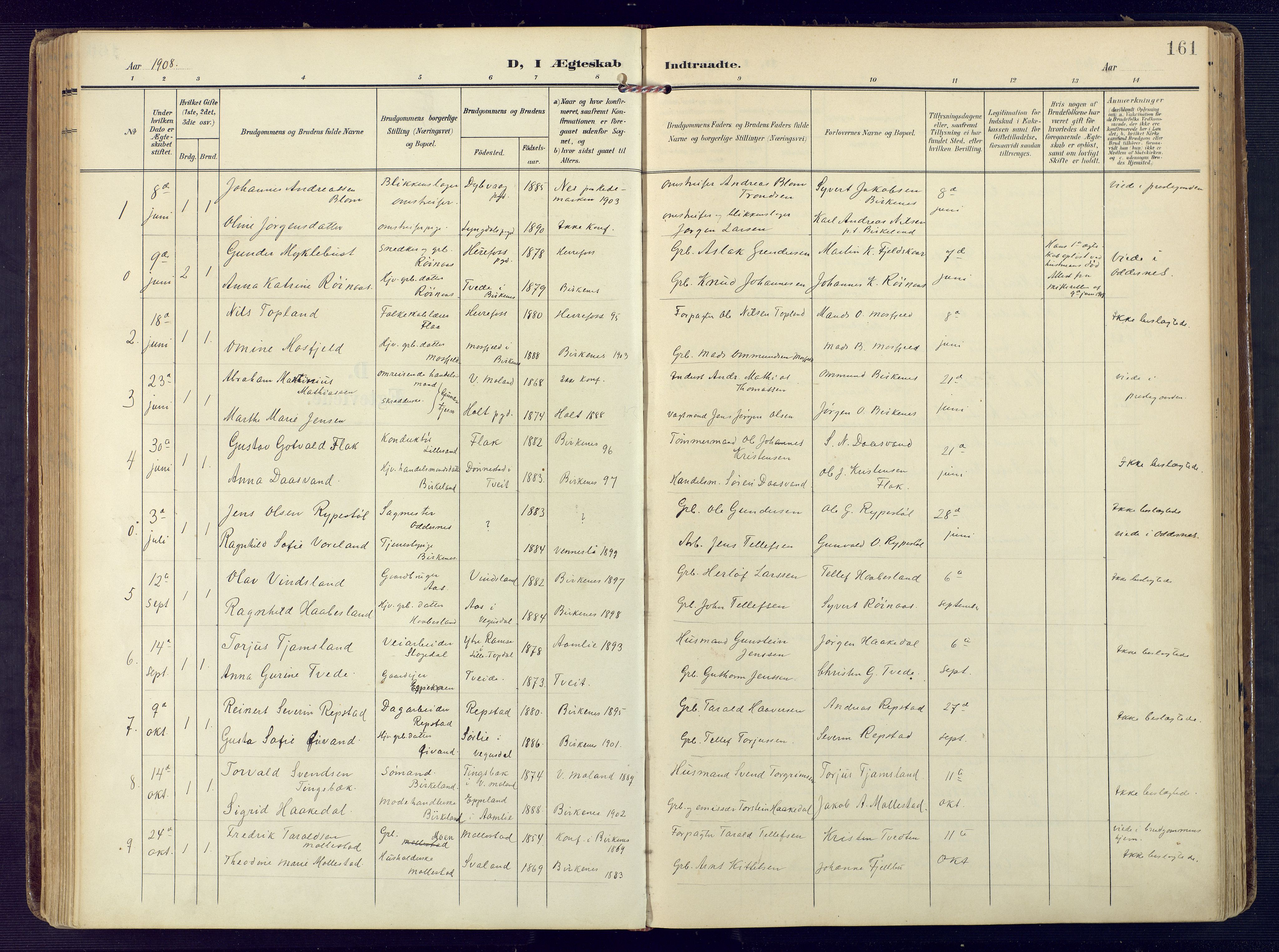 Birkenes sokneprestkontor, SAK/1111-0004/F/Fa/L0006: Parish register (official) no. A 6, 1908-1932, p. 161