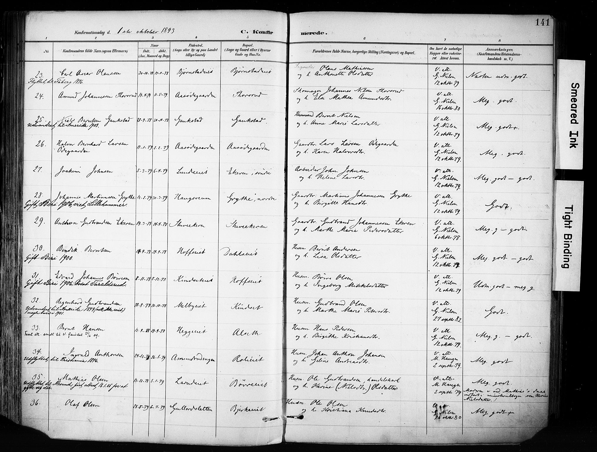 Biri prestekontor, AV/SAH-PREST-096/H/Ha/Haa/L0009: Parish register (official) no. 9, 1887-1900, p. 141