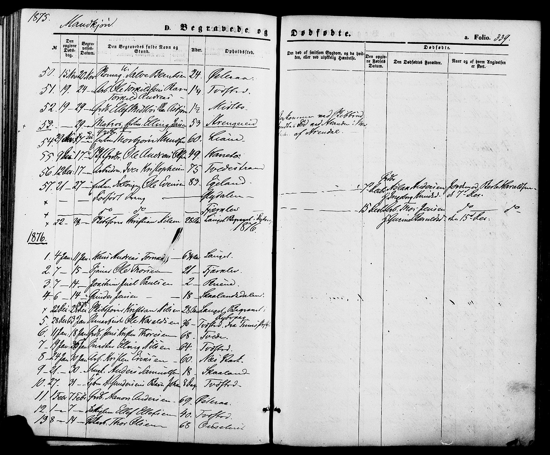 Holt sokneprestkontor, AV/SAK-1111-0021/F/Fa/L0010: Parish register (official) no. A 10, 1872-1885, p. 339