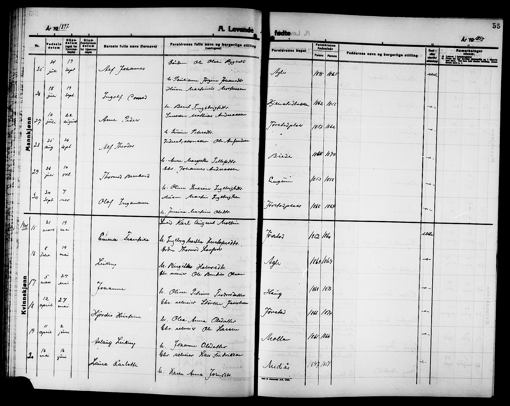 Ministerialprotokoller, klokkerbøker og fødselsregistre - Nord-Trøndelag, SAT/A-1458/749/L0487: Parish register (official) no. 749D03, 1887-1902, p. 55