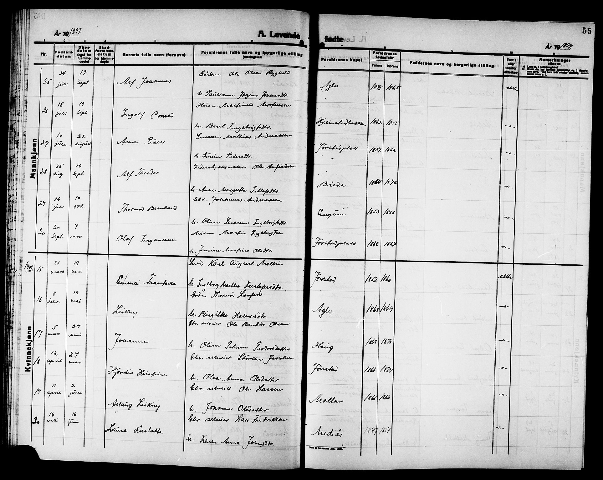 Ministerialprotokoller, klokkerbøker og fødselsregistre - Nord-Trøndelag, AV/SAT-A-1458/749/L0487: Parish register (official) no. 749D03, 1887-1902, p. 55