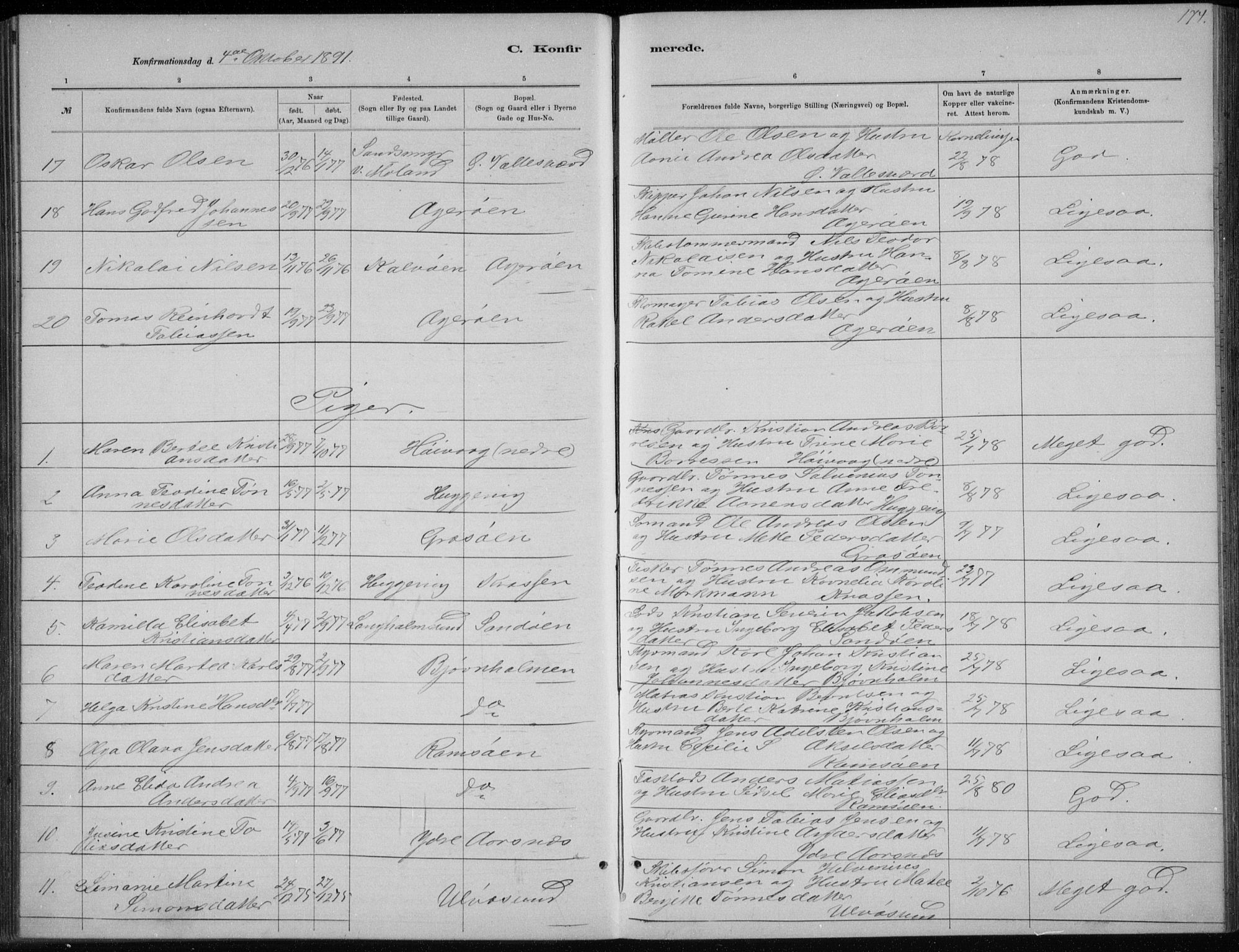 Høvåg sokneprestkontor, AV/SAK-1111-0025/F/Fb/L0004: Parish register (copy) no. B 4, 1883-1898, p. 174