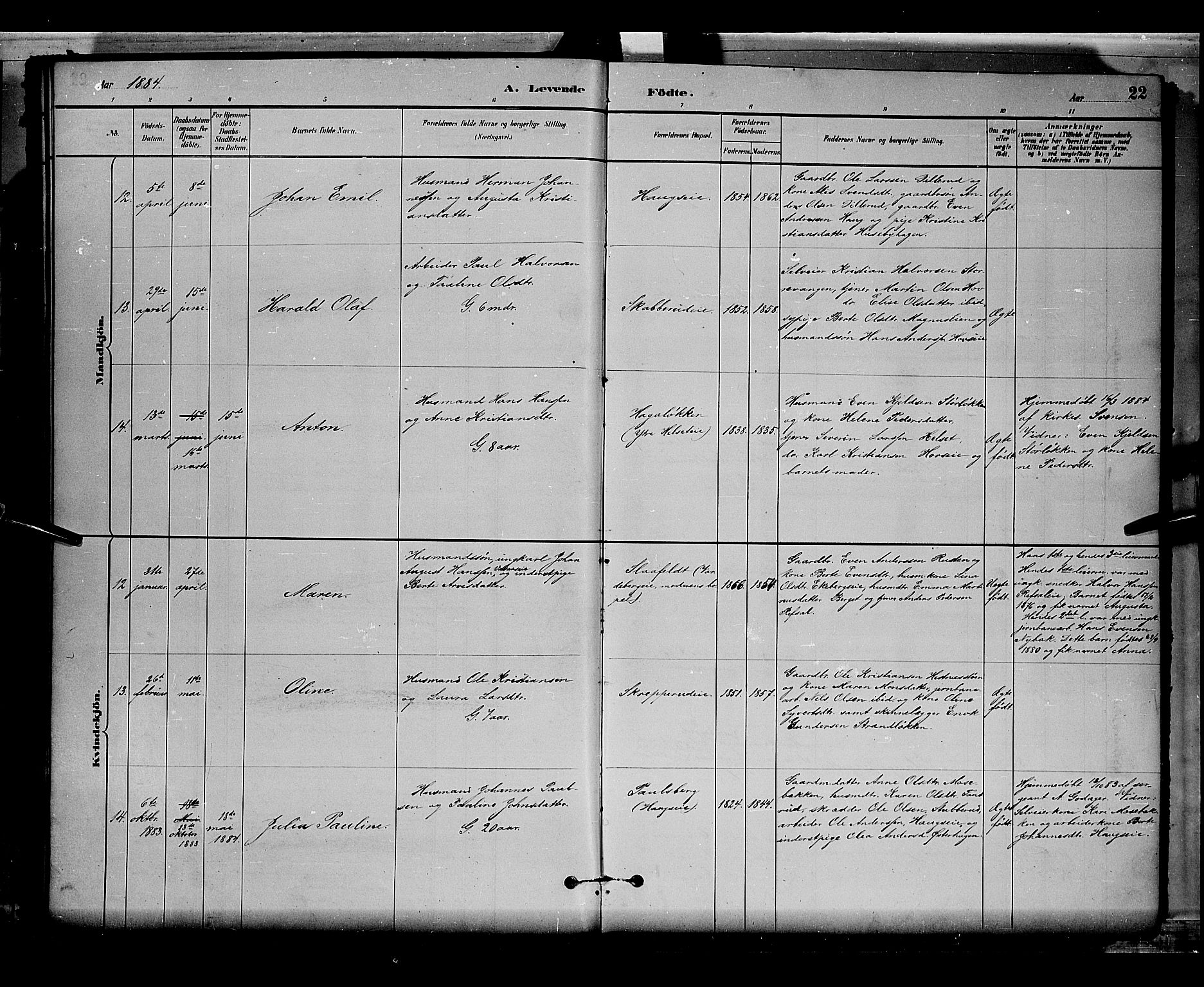 Stange prestekontor, AV/SAH-PREST-002/L/L0008: Parish register (copy) no. 8, 1882-1895, p. 22