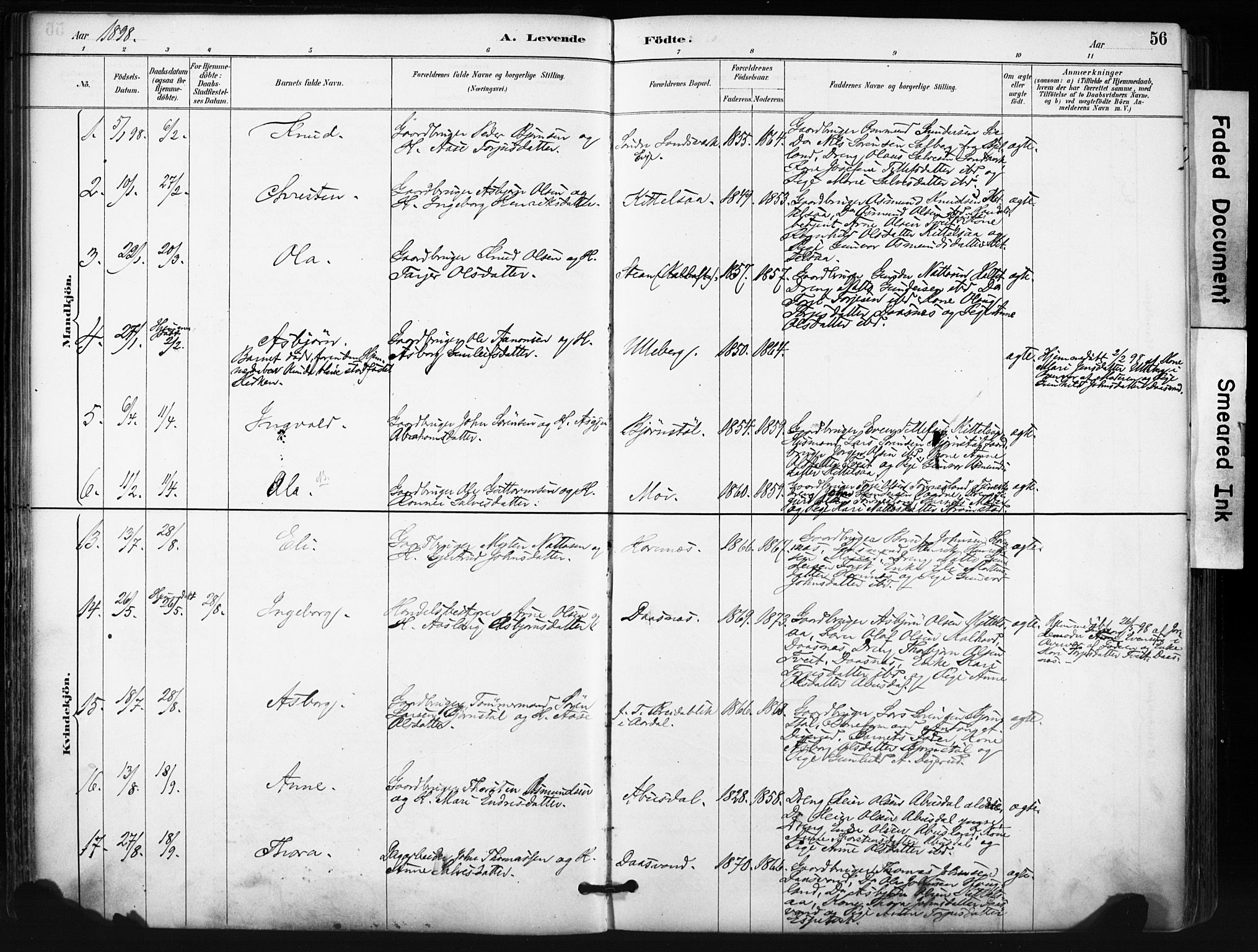 Evje sokneprestkontor, SAK/1111-0008/F/Fa/Fab/L0003: Parish register (official) no. A 3, 1884-1909, p. 56