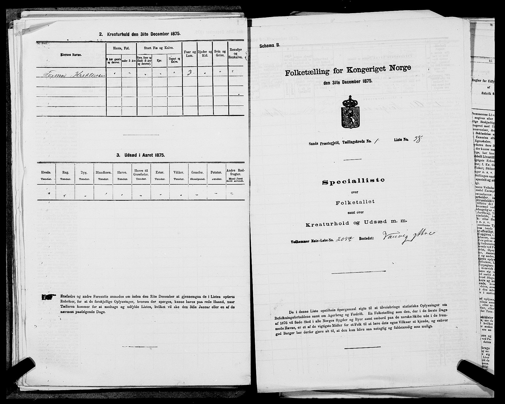 SAST, 1875 census for 1136P Sand, 1875, p. 136