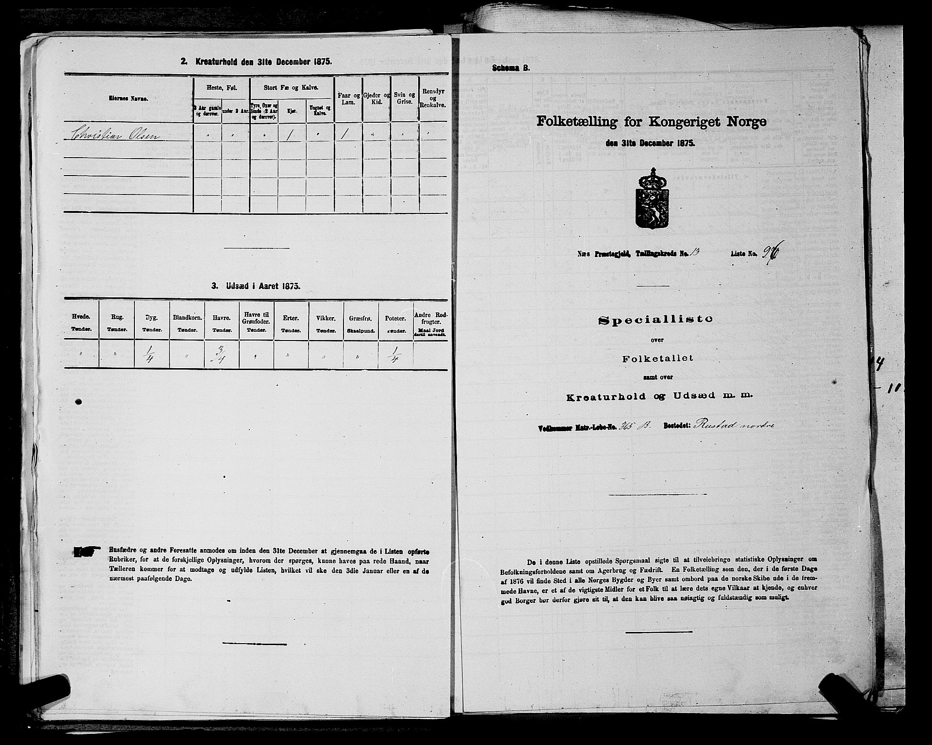 RA, 1875 census for 0236P Nes, 1875, p. 2476