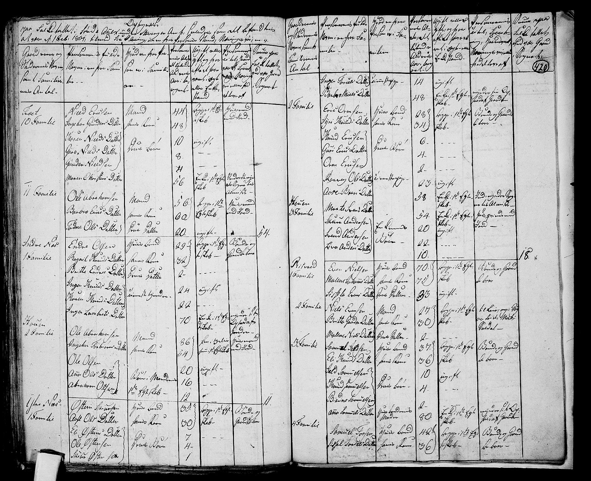 RA, 1801 census for 1134P Suldal, 1801, p. 419b-420a