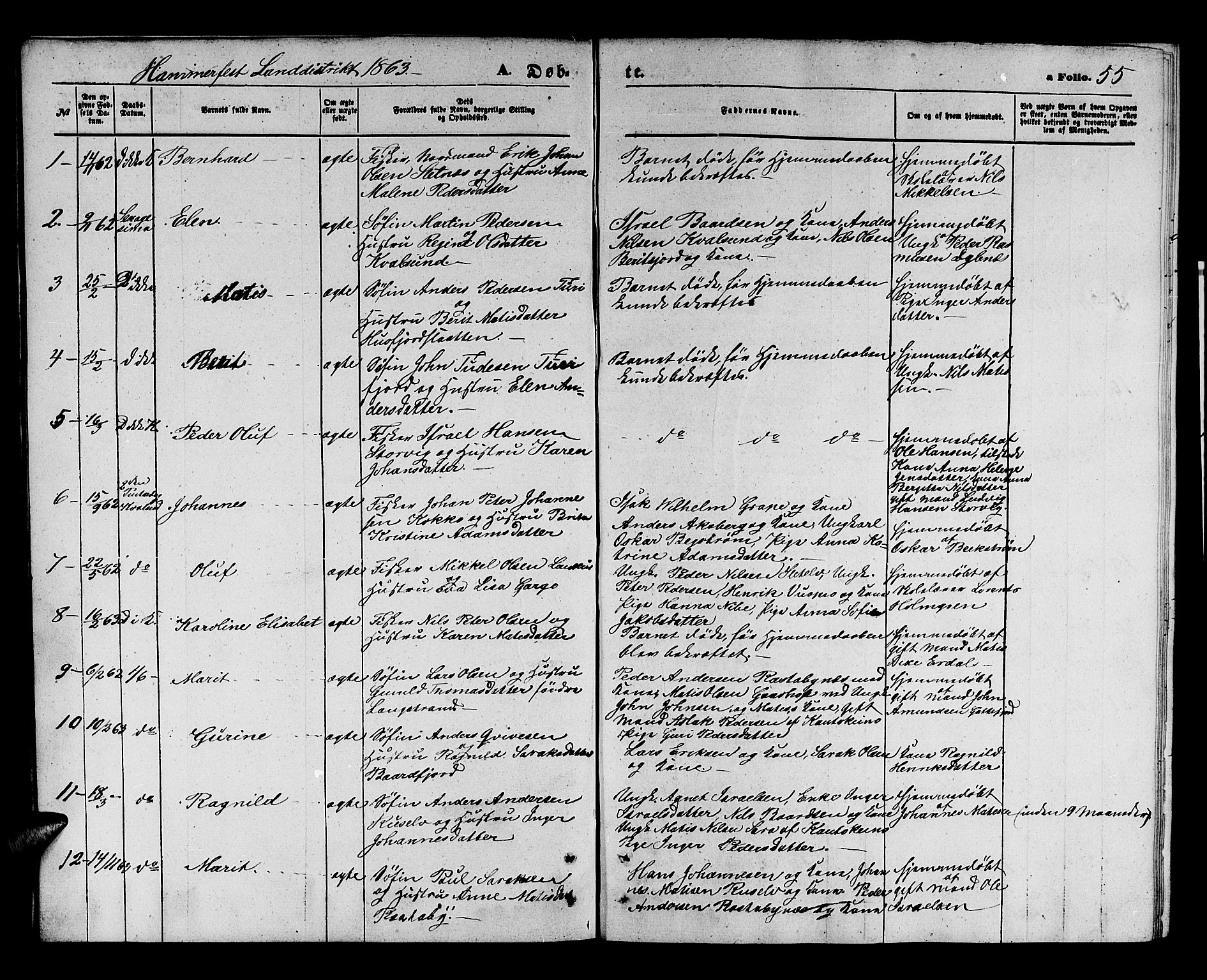 Hammerfest sokneprestkontor, SATØ/S-1347/H/Hb/L0003.klokk: Parish register (copy) no. 3 /2, 1863-1868, p. 55