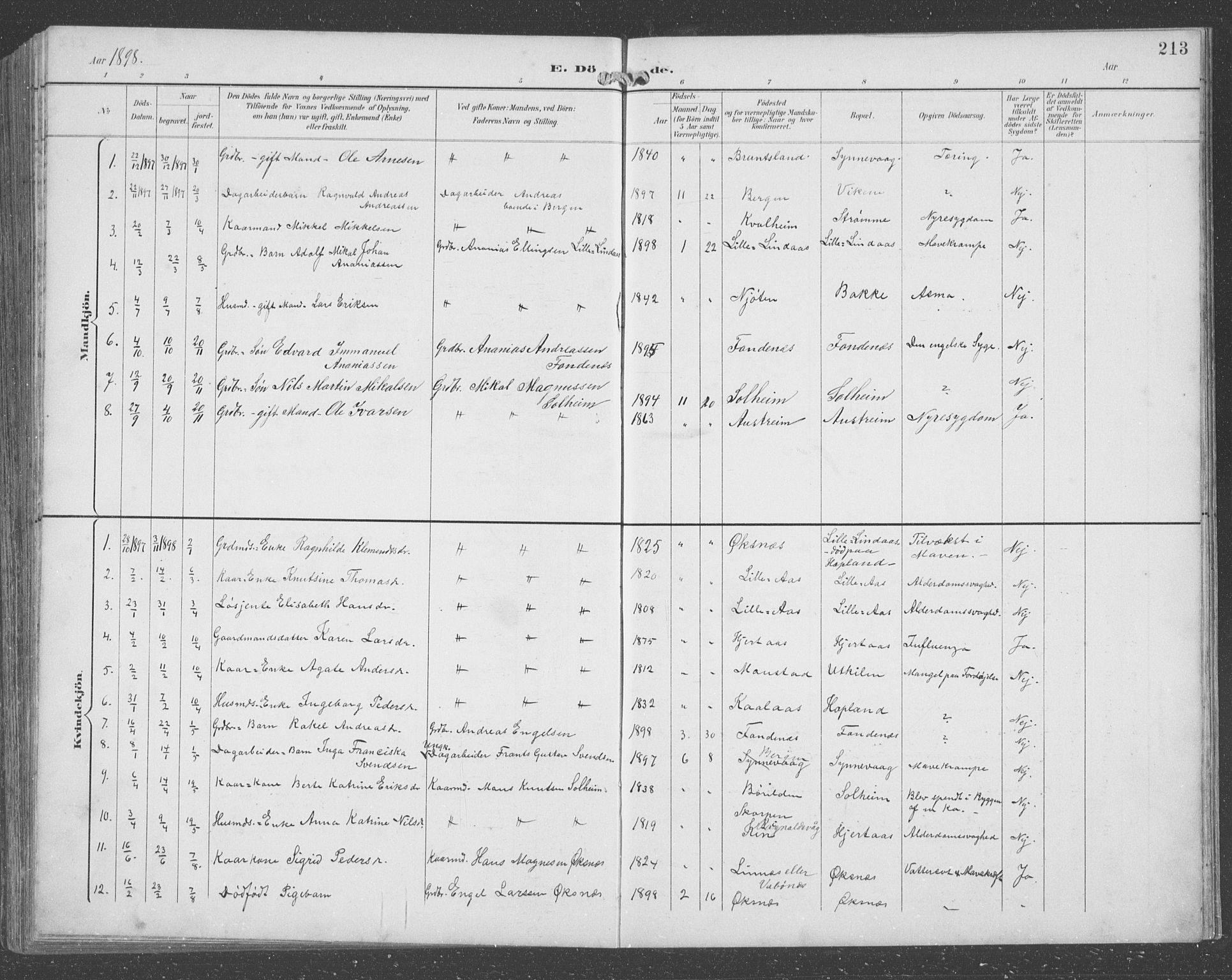 Lindås Sokneprestembete, AV/SAB-A-76701/H/Hab/Habc/L0004: Parish register (copy) no. C 4, 1894-1910, p. 213