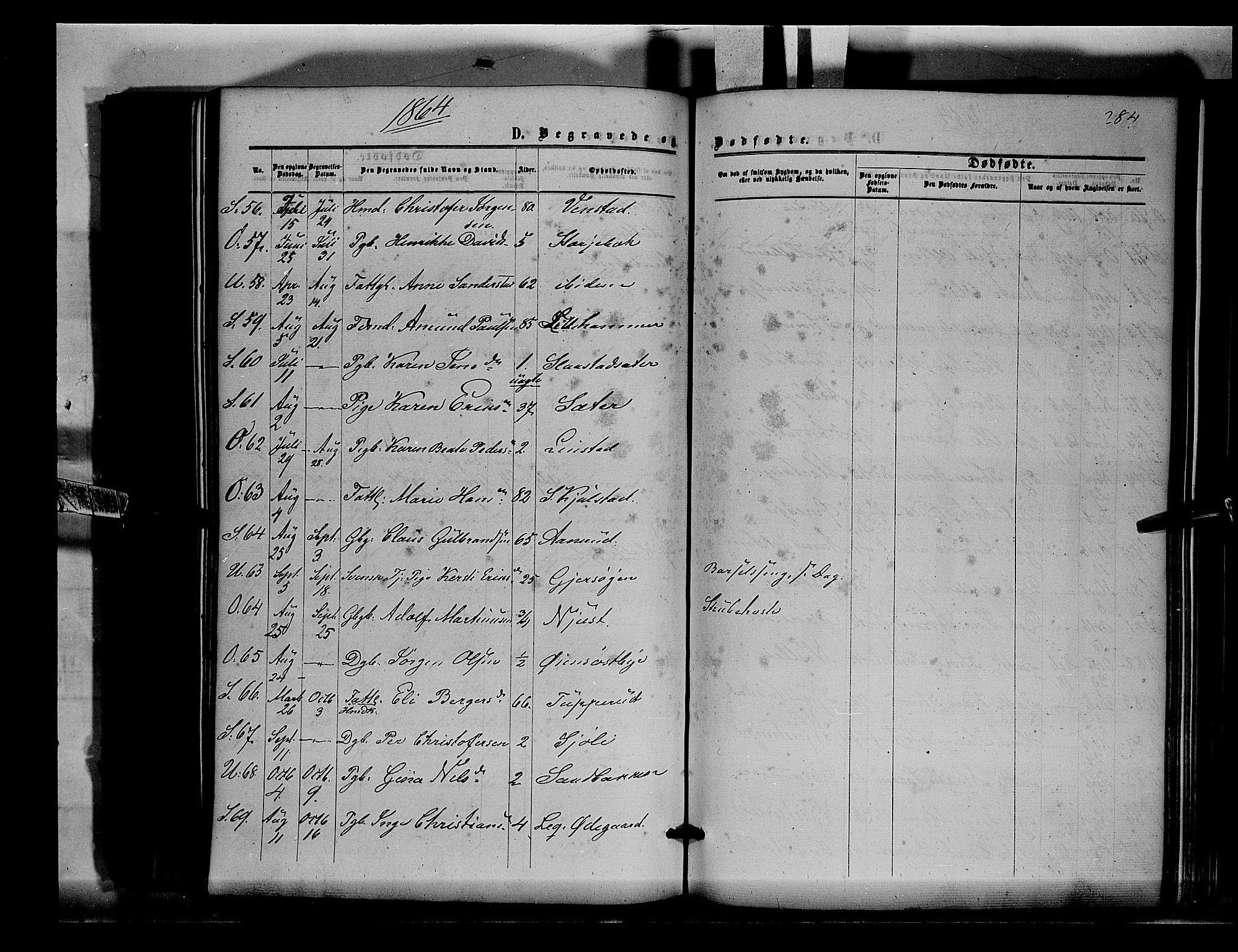 Sør-Odal prestekontor, AV/SAH-PREST-030/H/Ha/Haa/L0003: Parish register (official) no. 3, 1864-1870, p. 284