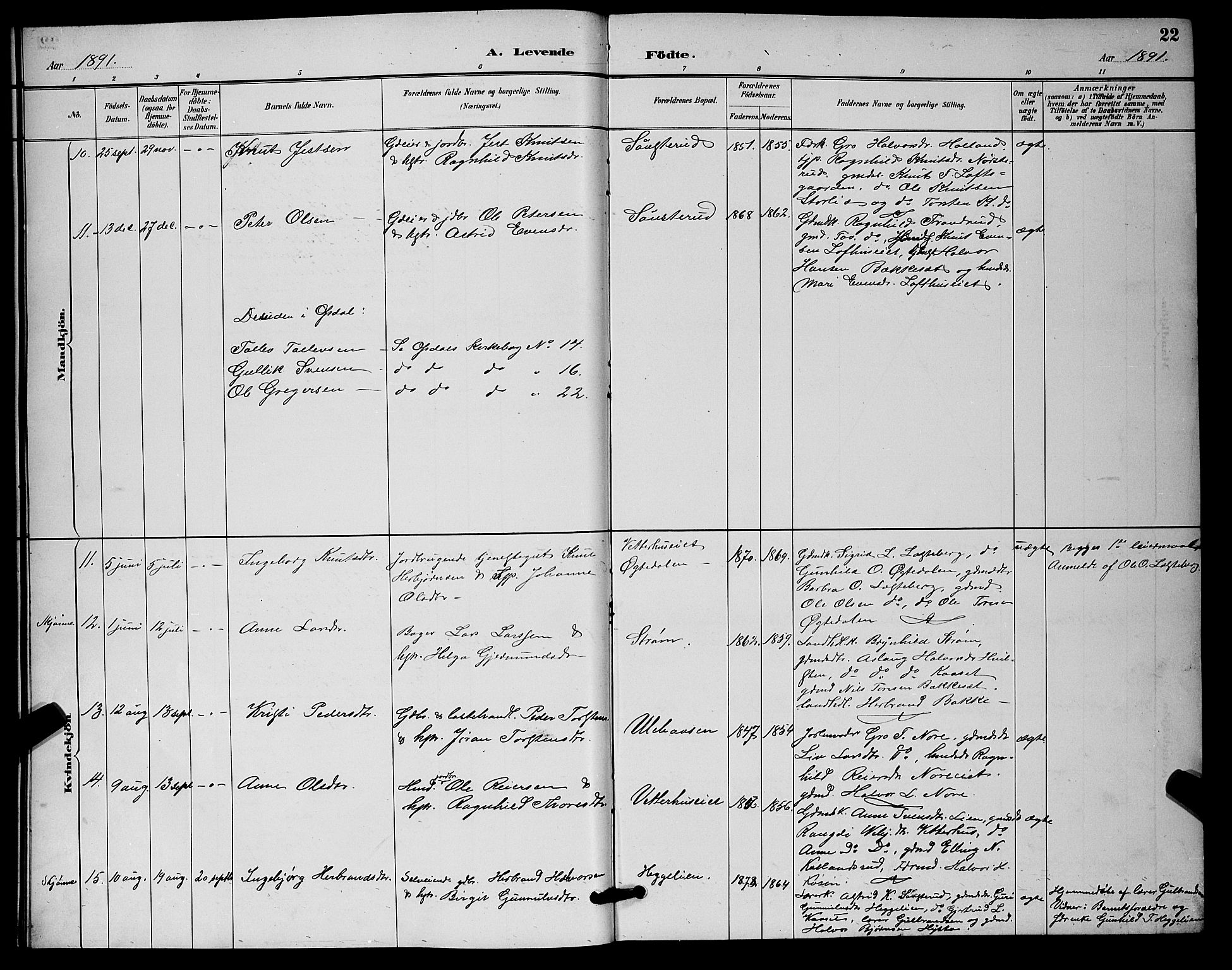 Nore kirkebøker, AV/SAKO-A-238/G/Ga/L0003: Parish register (copy) no. I 3, 1886-1903, p. 22