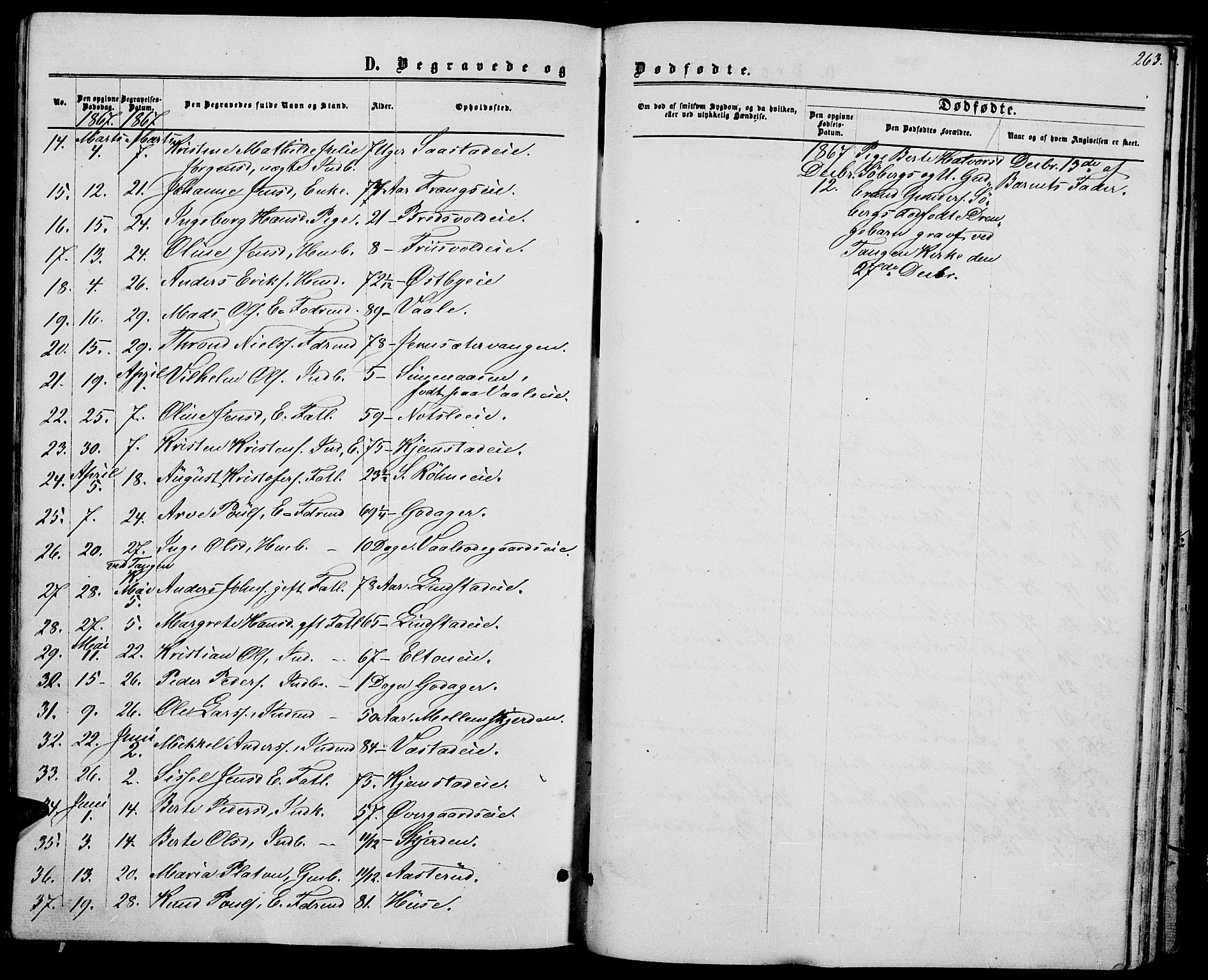 Stange prestekontor, AV/SAH-PREST-002/L/L0006: Parish register (copy) no. 6, 1864-1882, p. 263