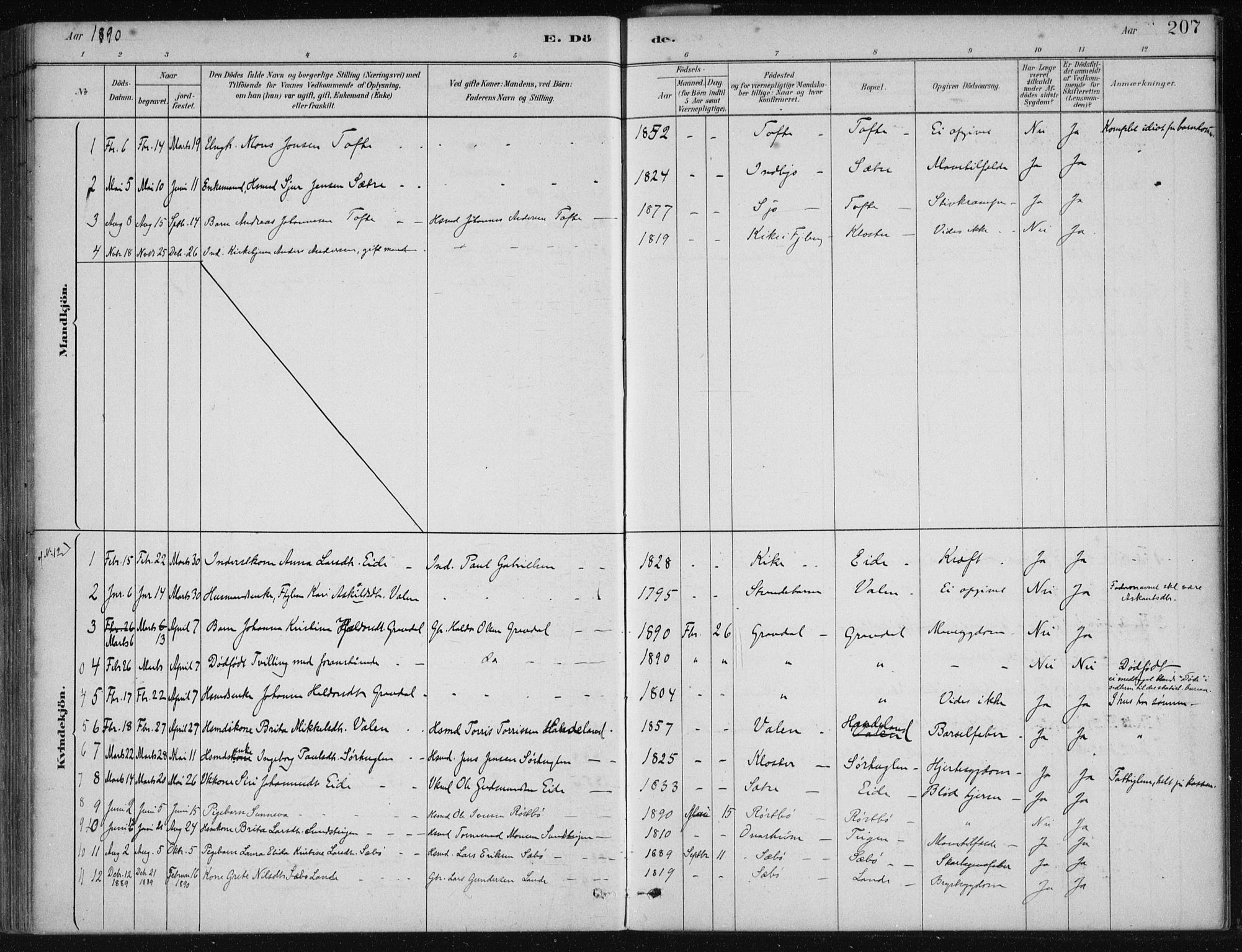 Fjelberg sokneprestembete, SAB/A-75201/H/Haa: Parish register (official) no. C  1, 1879-1918, p. 207