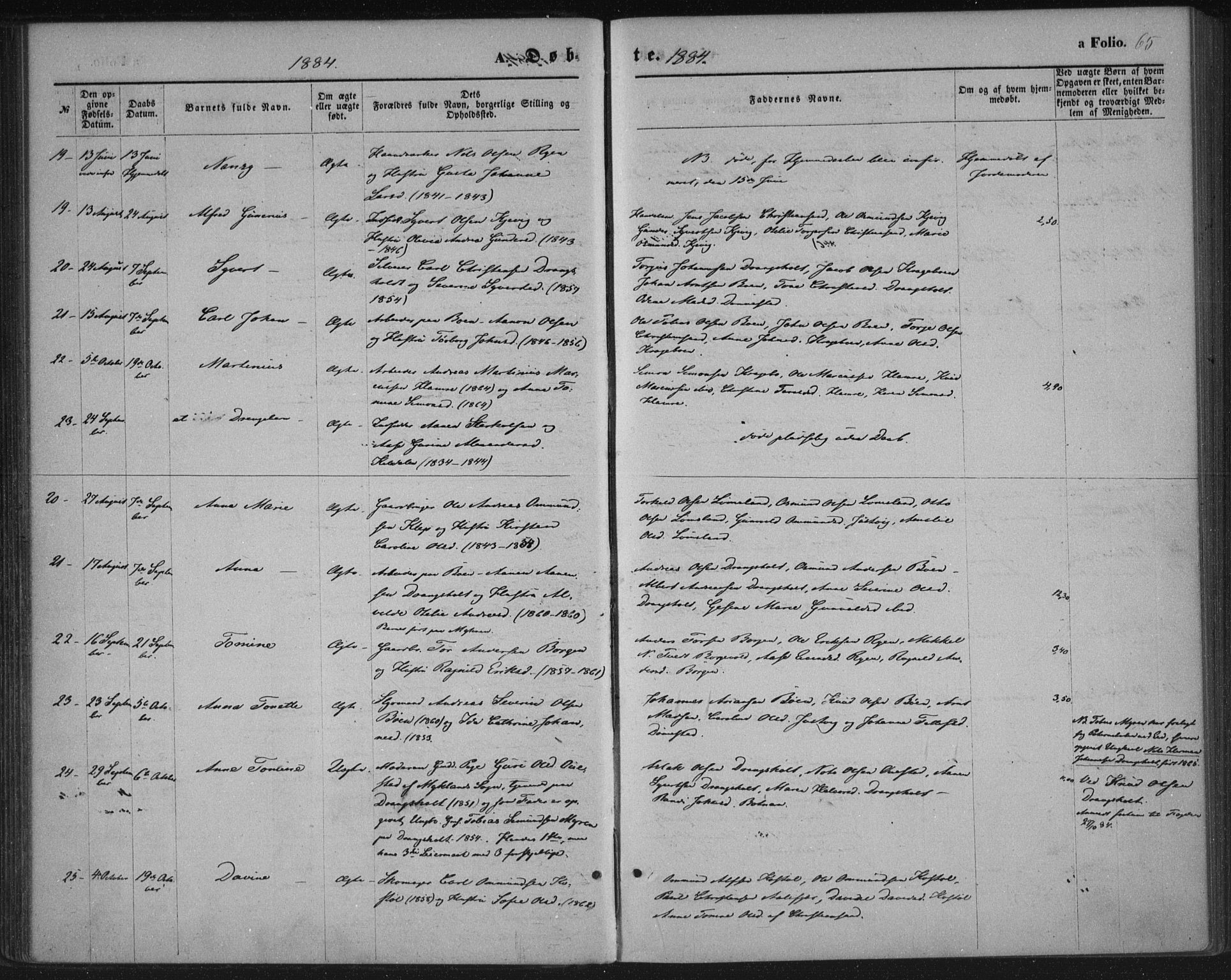 Tveit sokneprestkontor, AV/SAK-1111-0043/F/Fa/L0006: Parish register (official) no. A 6, 1872-1886, p. 65