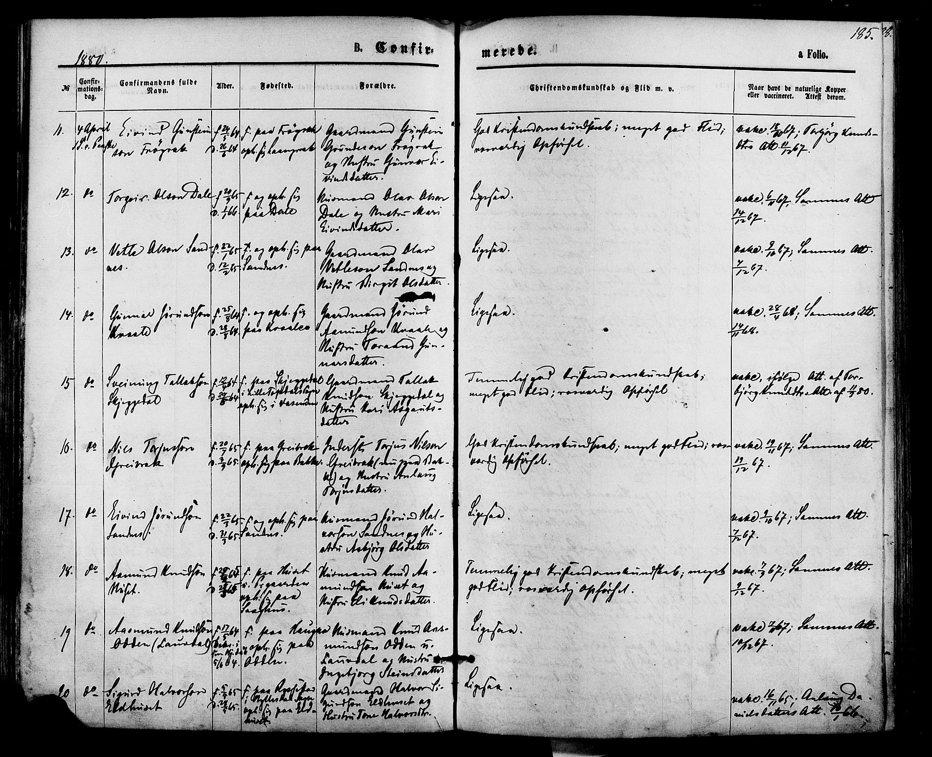 Bygland sokneprestkontor, AV/SAK-1111-0006/F/Fa/Fab/L0006: Parish register (official) no. A 6, 1873-1884, p. 185