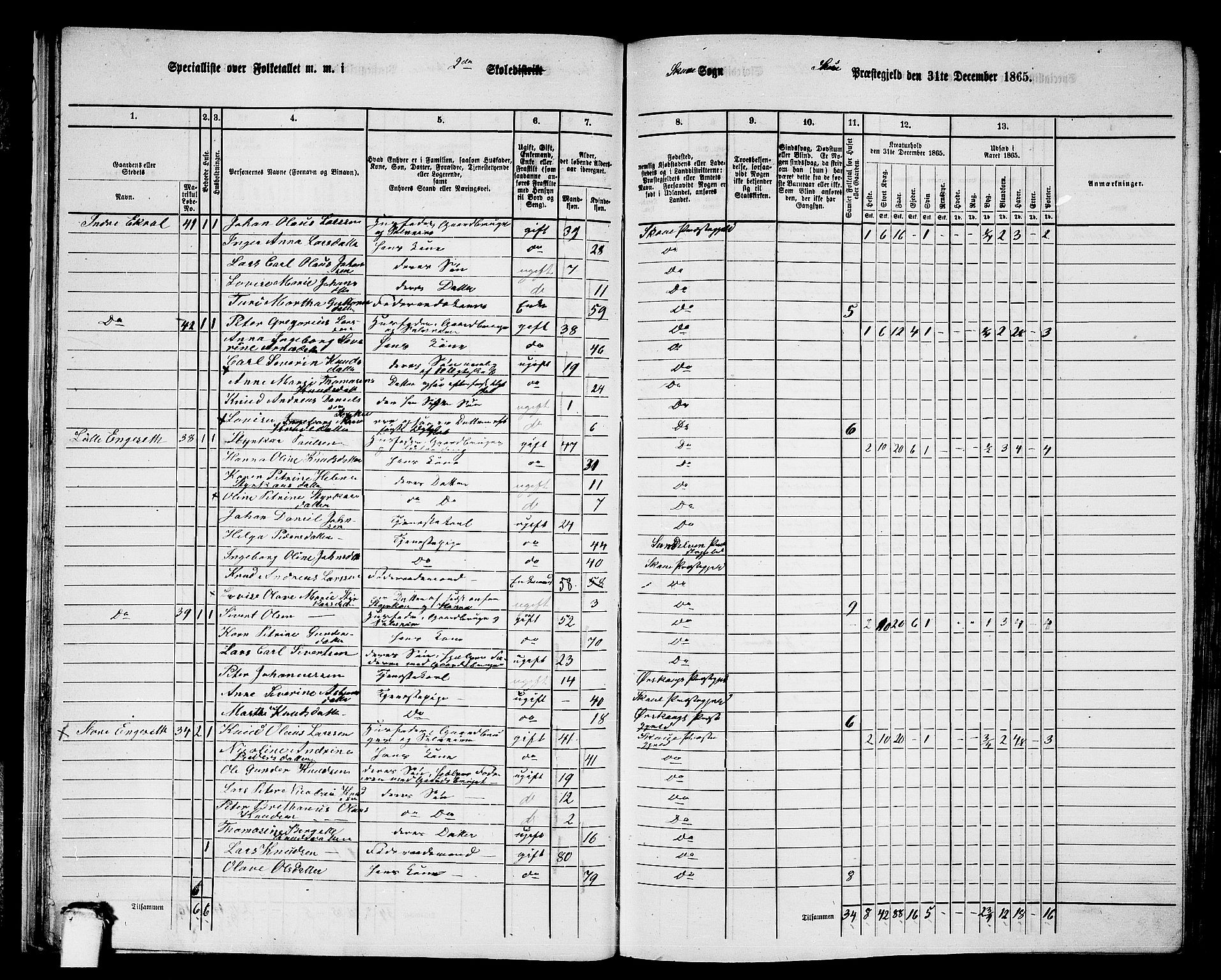 RA, 1865 census for Skodje, 1865, p. 31