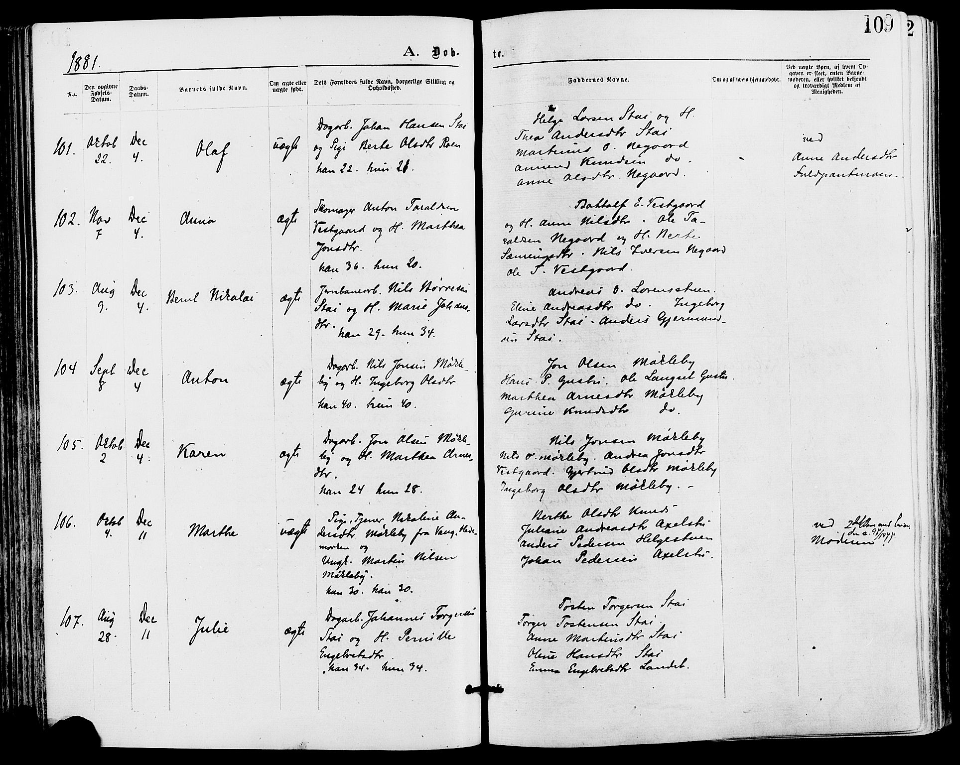 Stor-Elvdal prestekontor, AV/SAH-PREST-052/H/Ha/Haa/L0001: Parish register (official) no. 1, 1871-1882, p. 109