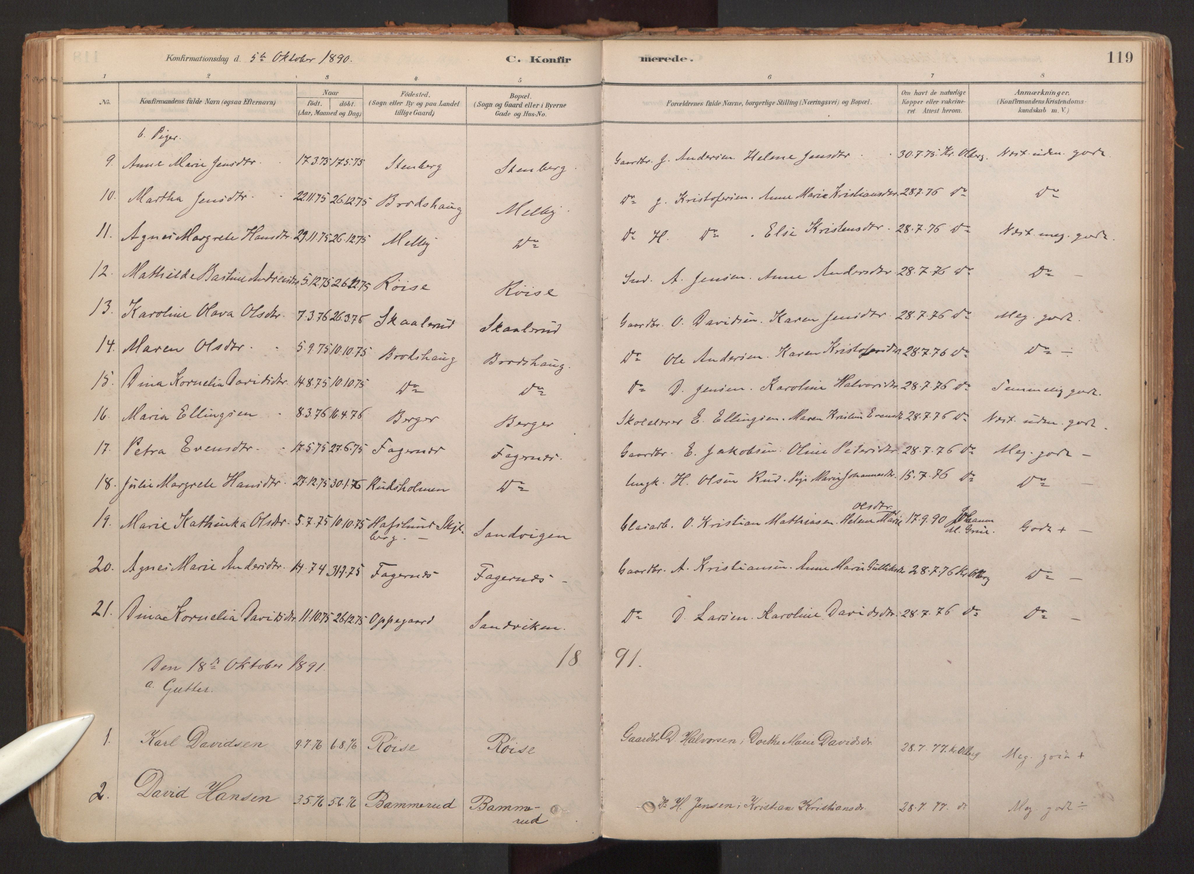 Hurdal prestekontor Kirkebøker, SAO/A-10889/F/Fb/L0003: Parish register (official) no. II 3, 1878-1920, p. 119