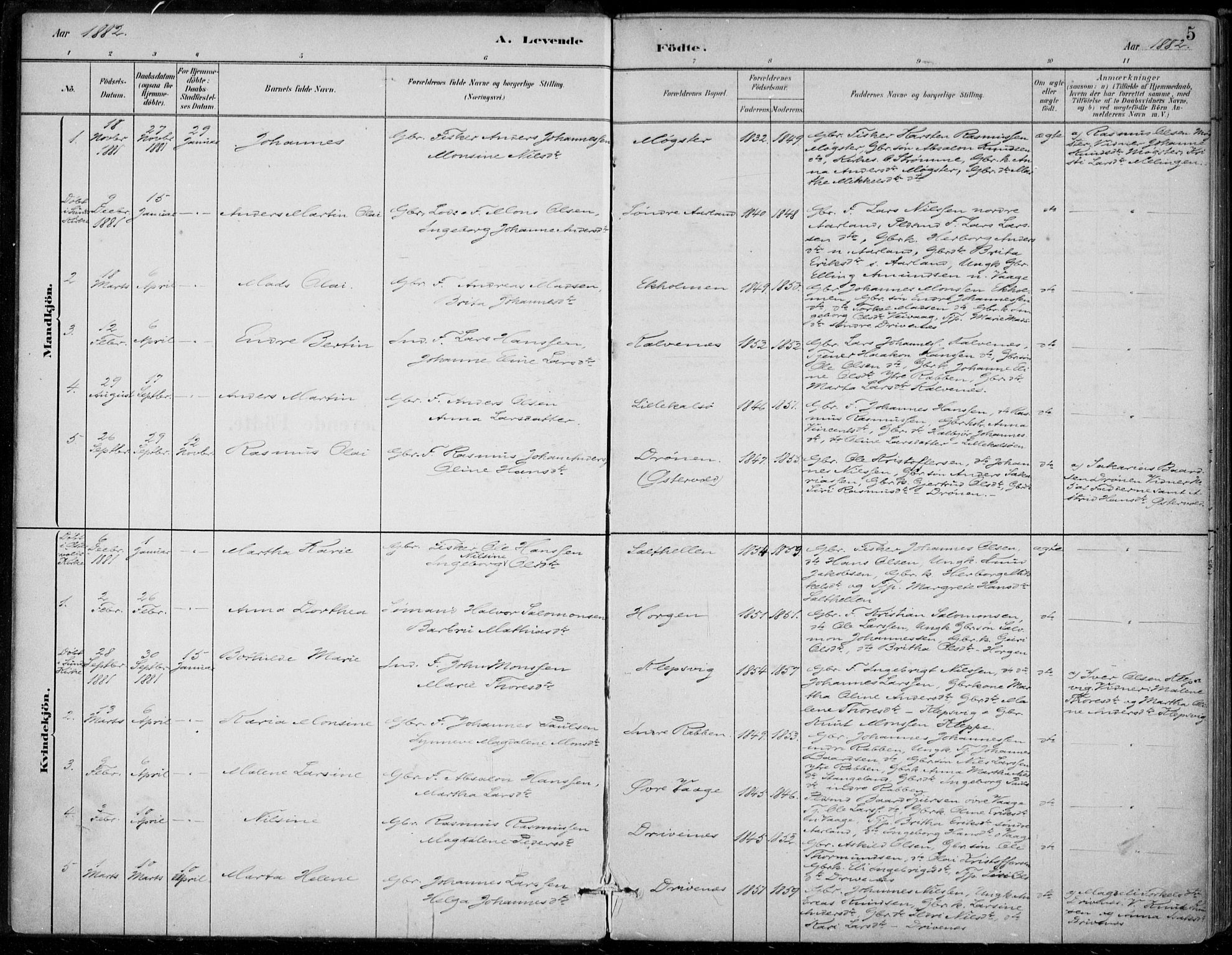 Sund sokneprestembete, AV/SAB-A-99930: Parish register (official) no. D 1, 1882-1899, p. 5