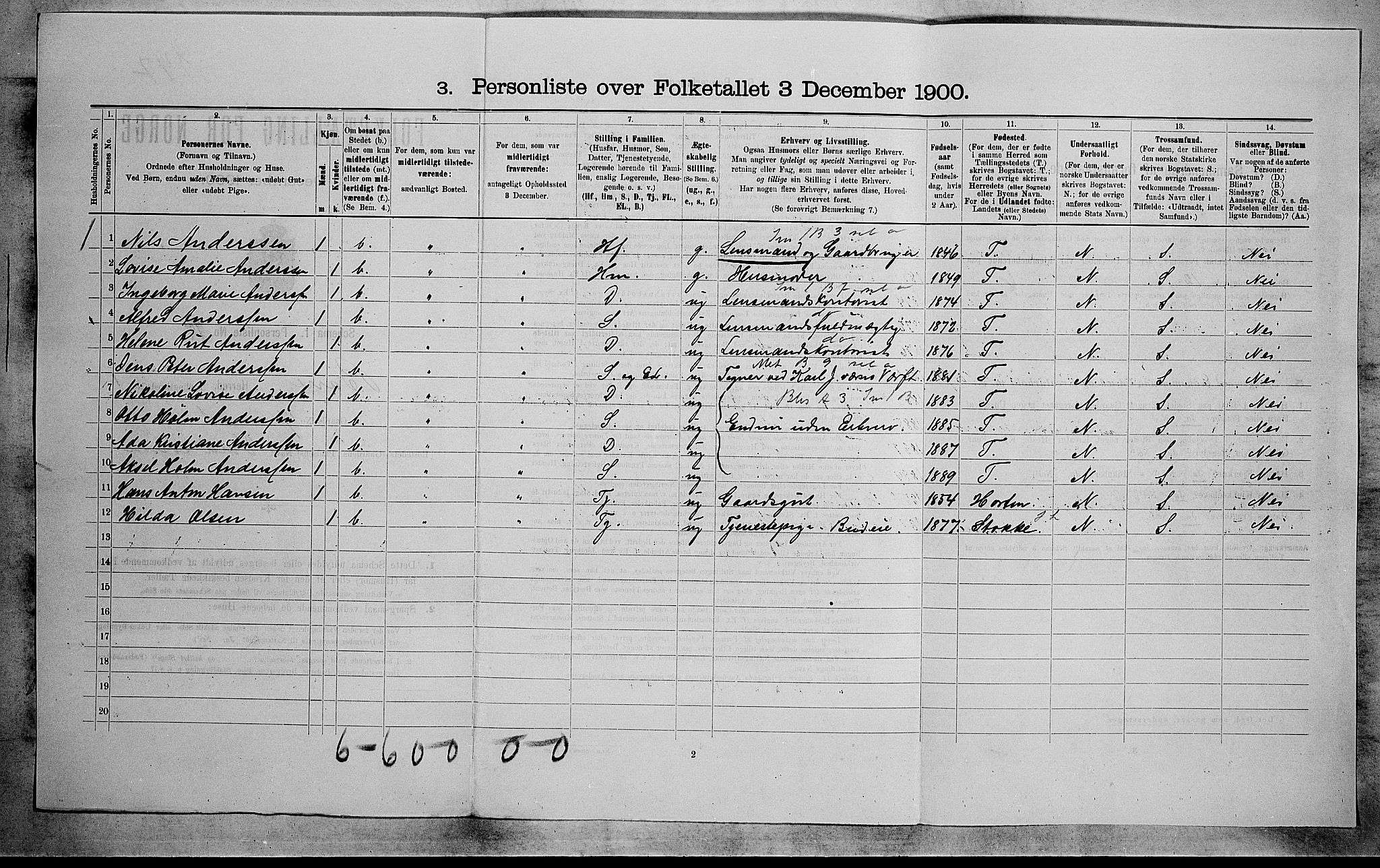 RA, 1900 census for Borre, 1900, p. 220