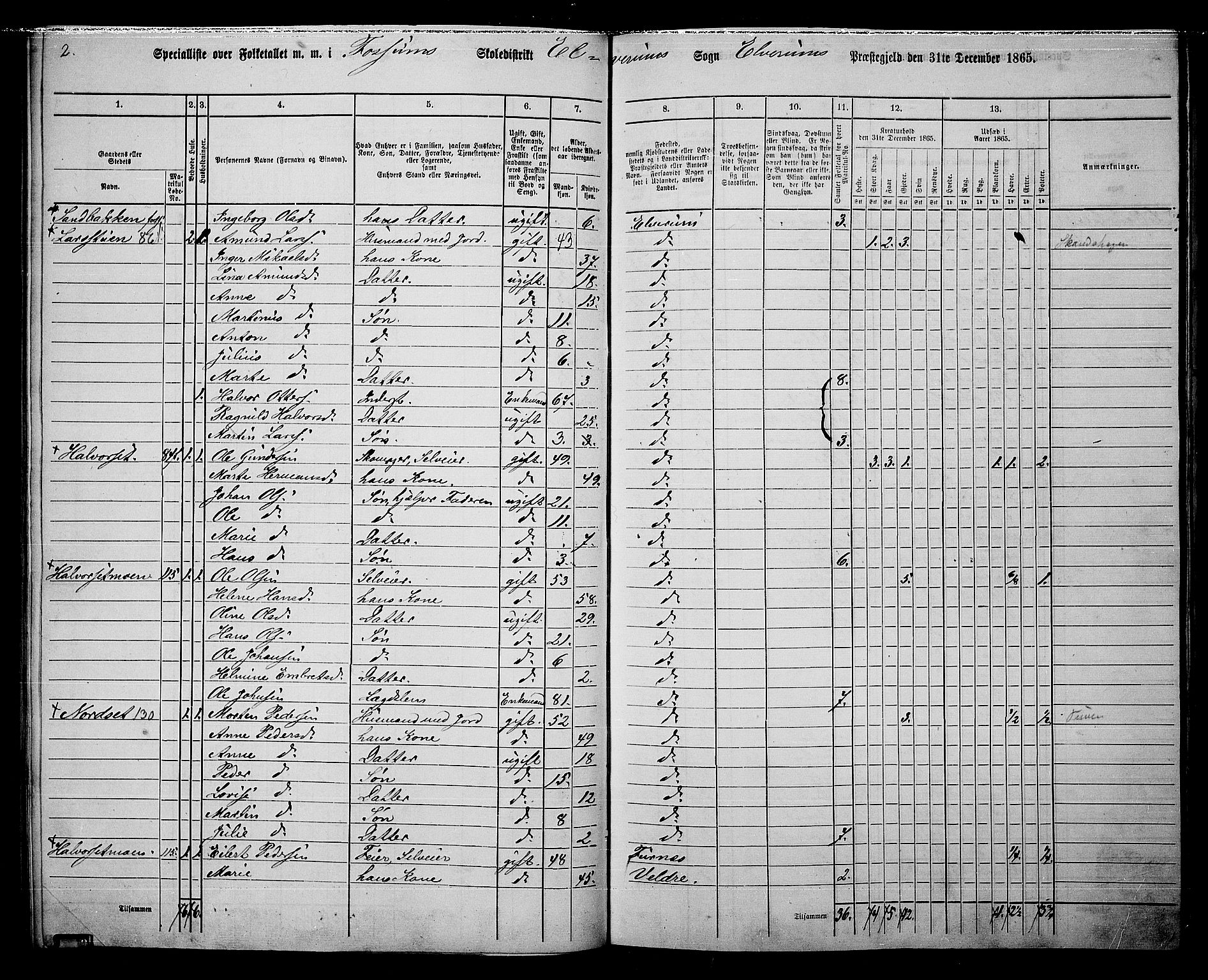 RA, 1865 census for Elverum, 1865, p. 88