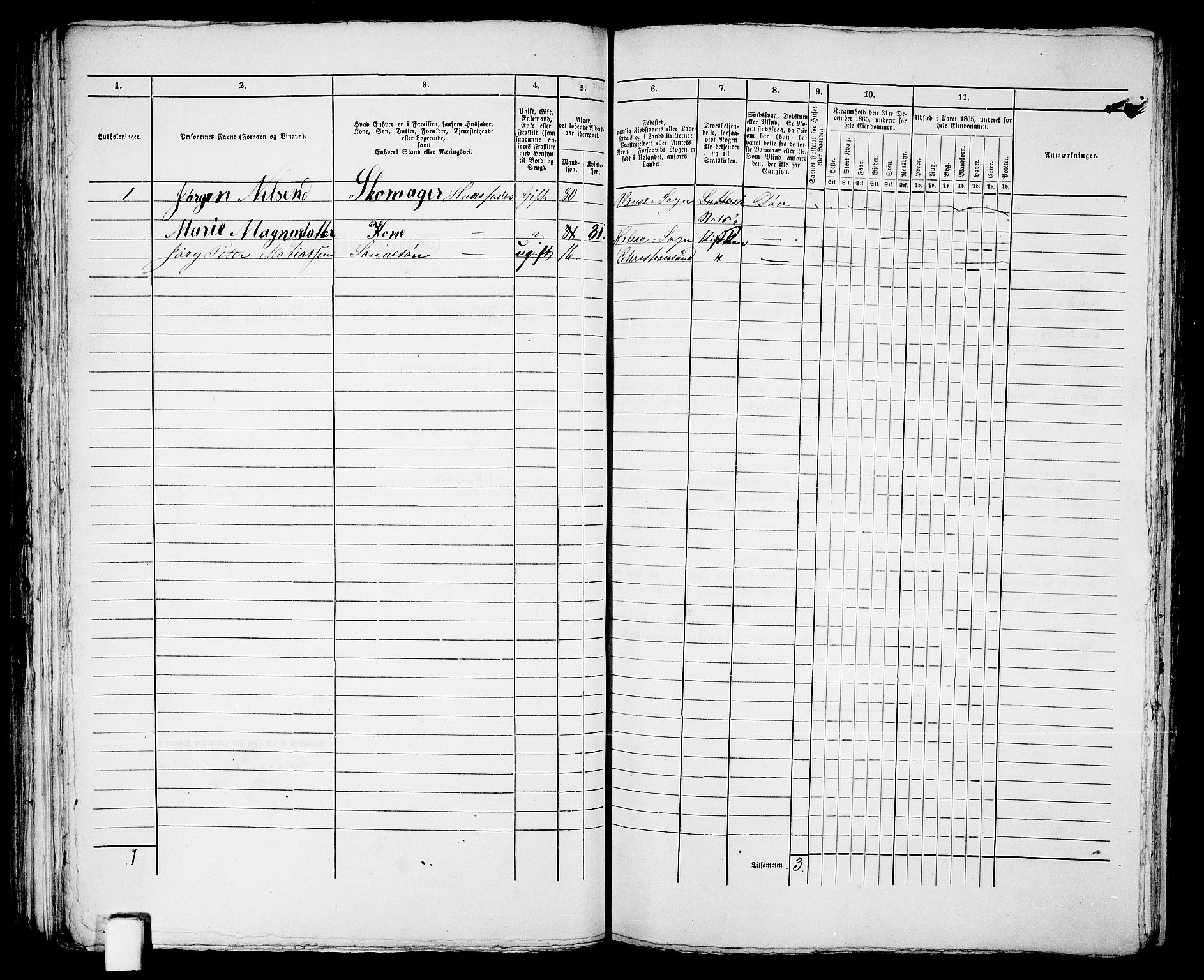 RA, 1865 census for Kristiansand, 1865, p. 1148