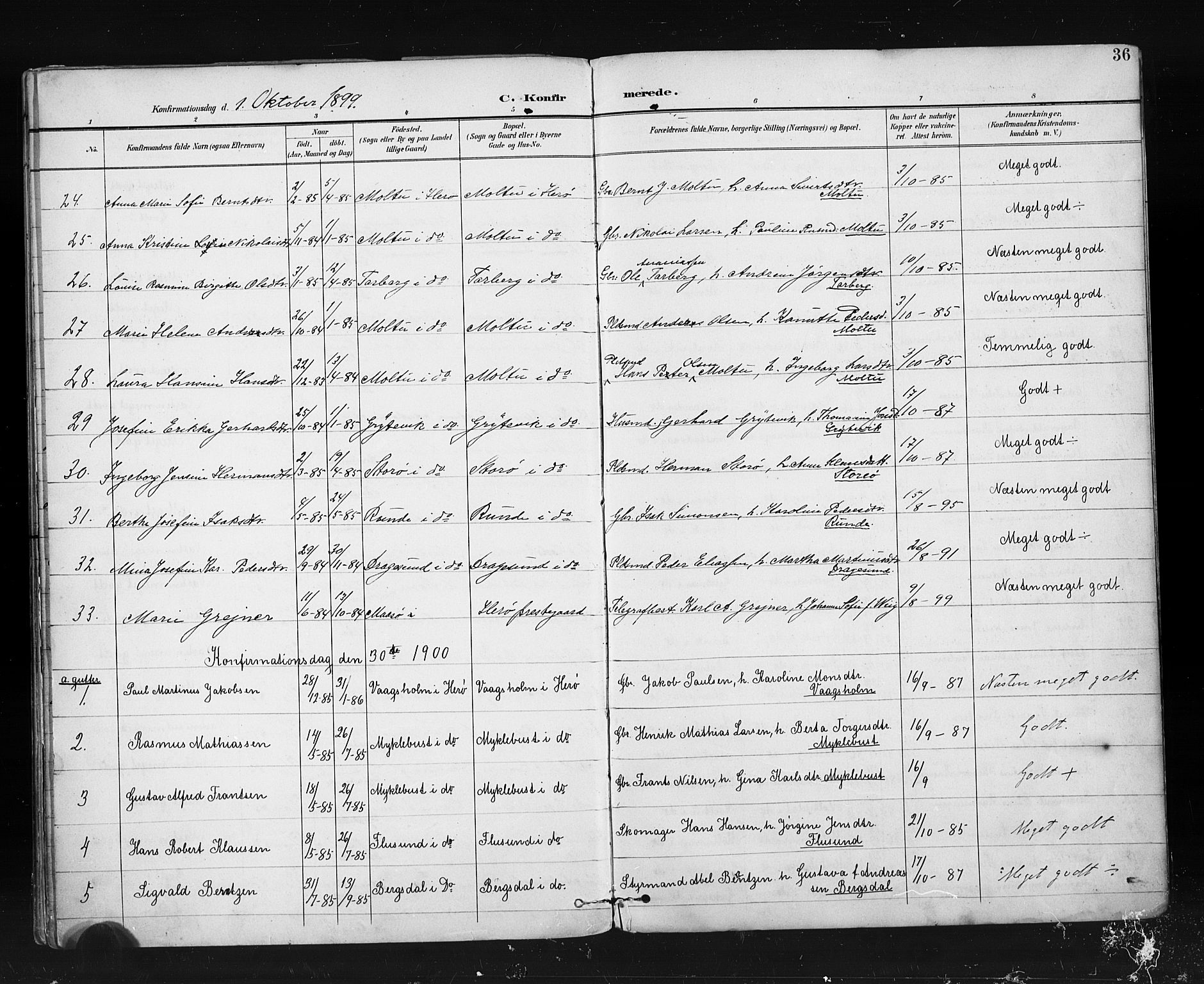 Ministerialprotokoller, klokkerbøker og fødselsregistre - Møre og Romsdal, AV/SAT-A-1454/507/L0074: Parish register (official) no. 507A09, 1894-1900, p. 36