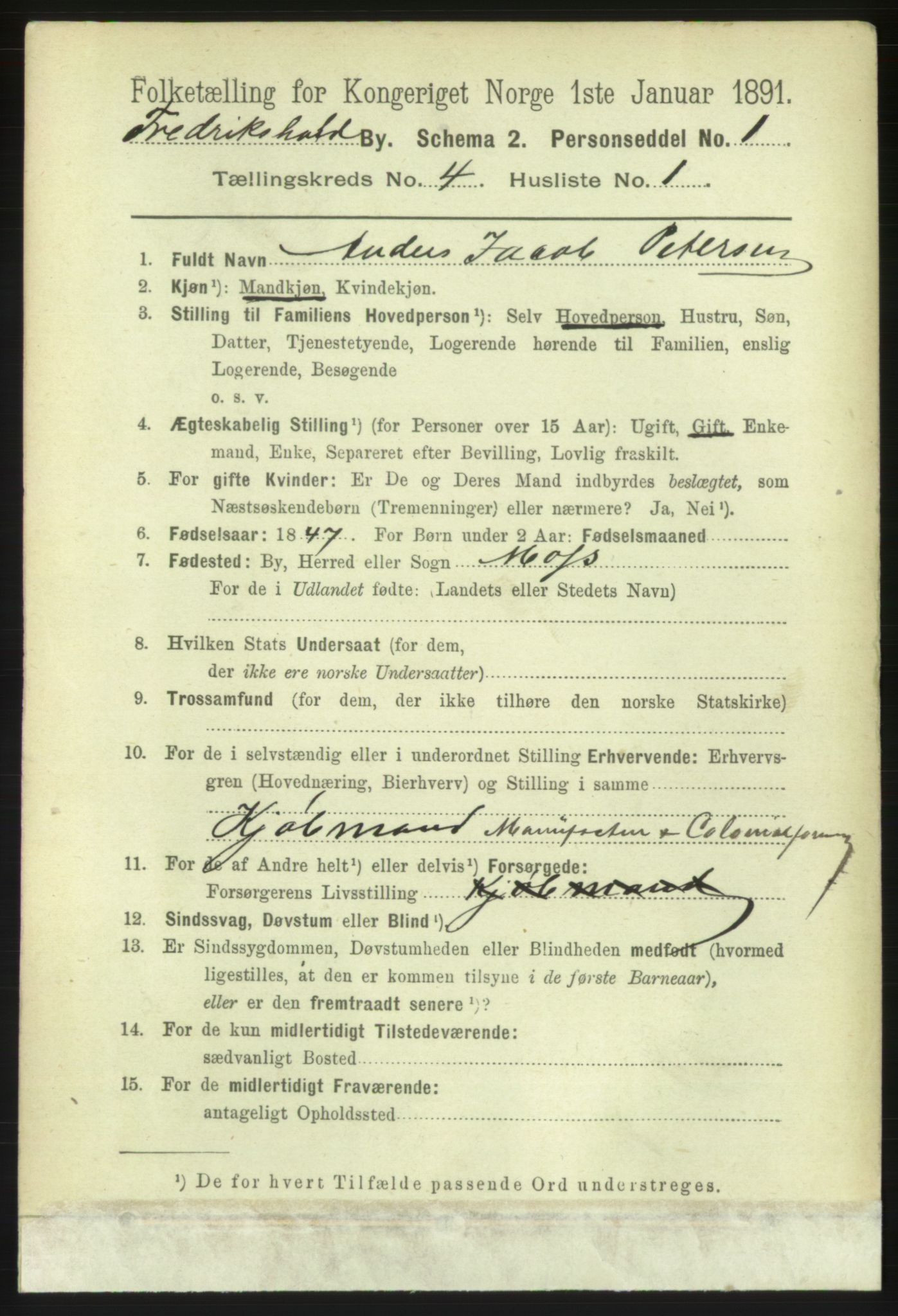 RA, 1891 census for 0101 Fredrikshald, 1891, p. 3733