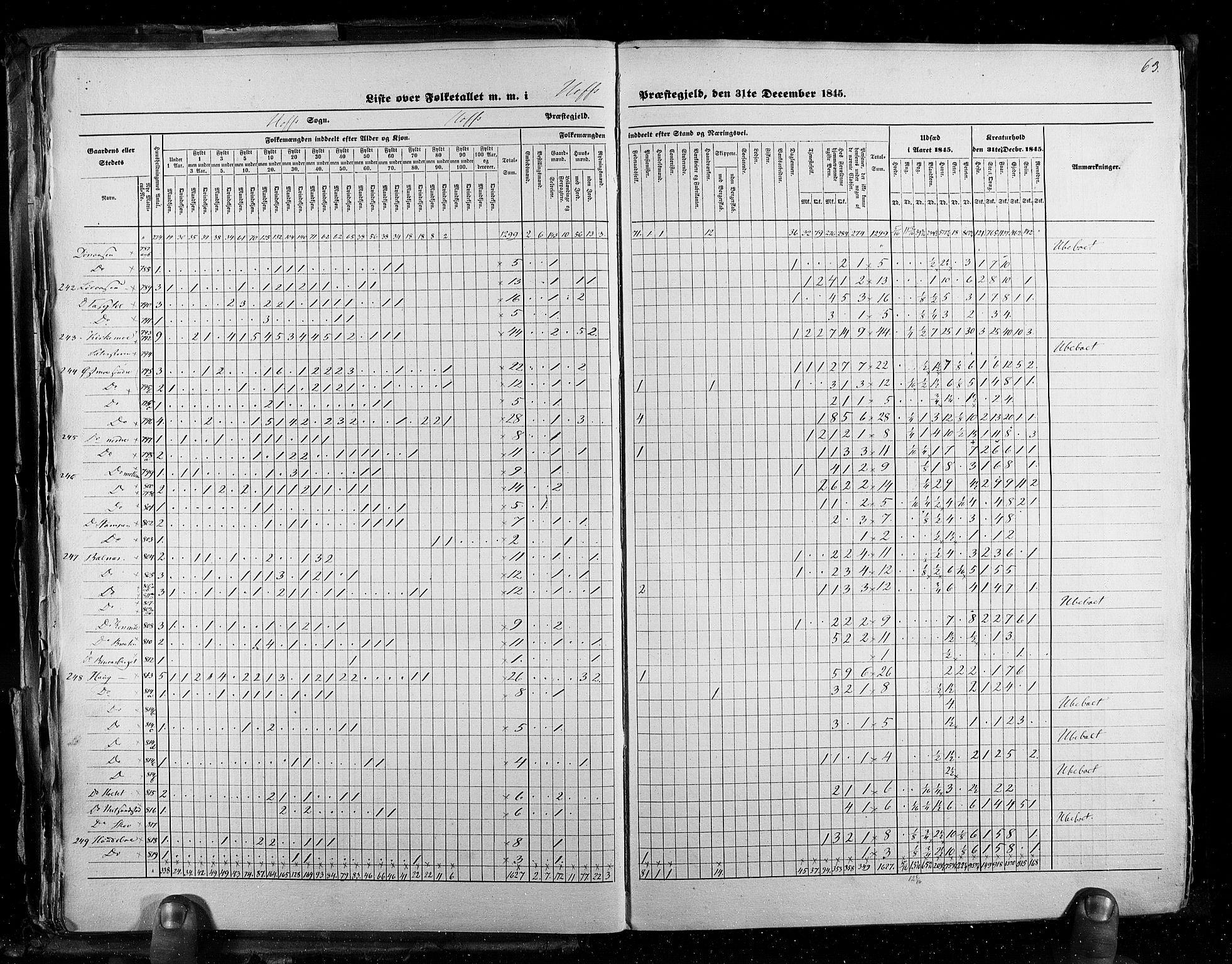 RA, Census 1845, vol. 3: Hedemarken amt og Kristians amt, 1845, p. 63