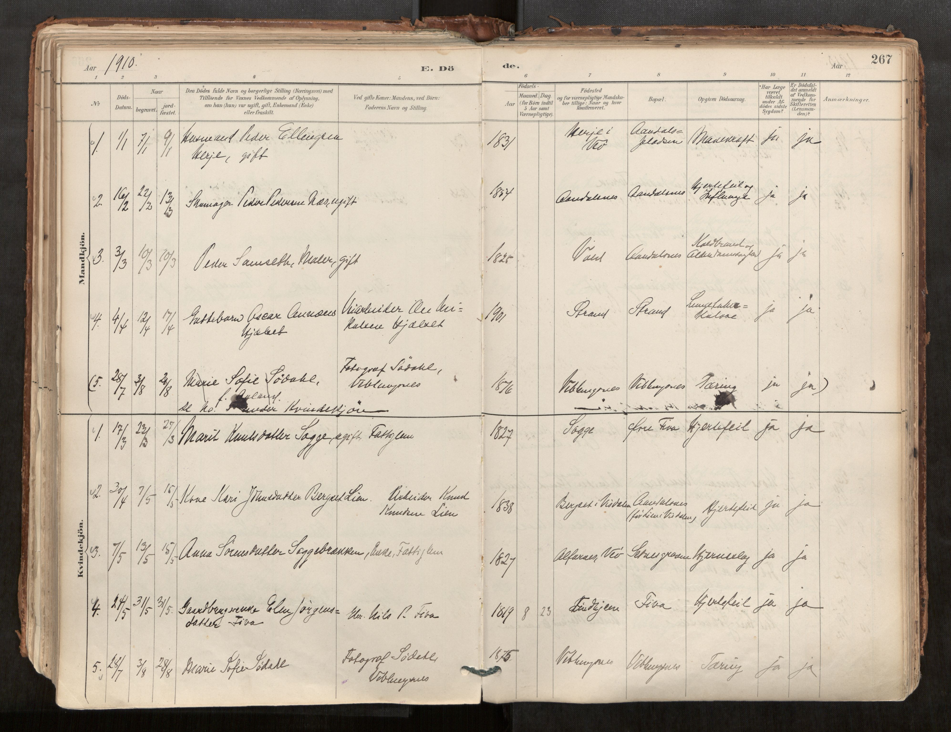 Ministerialprotokoller, klokkerbøker og fødselsregistre - Møre og Romsdal, AV/SAT-A-1454/544/L0585: Parish register (official) no. 544A06, 1887-1924, p. 267