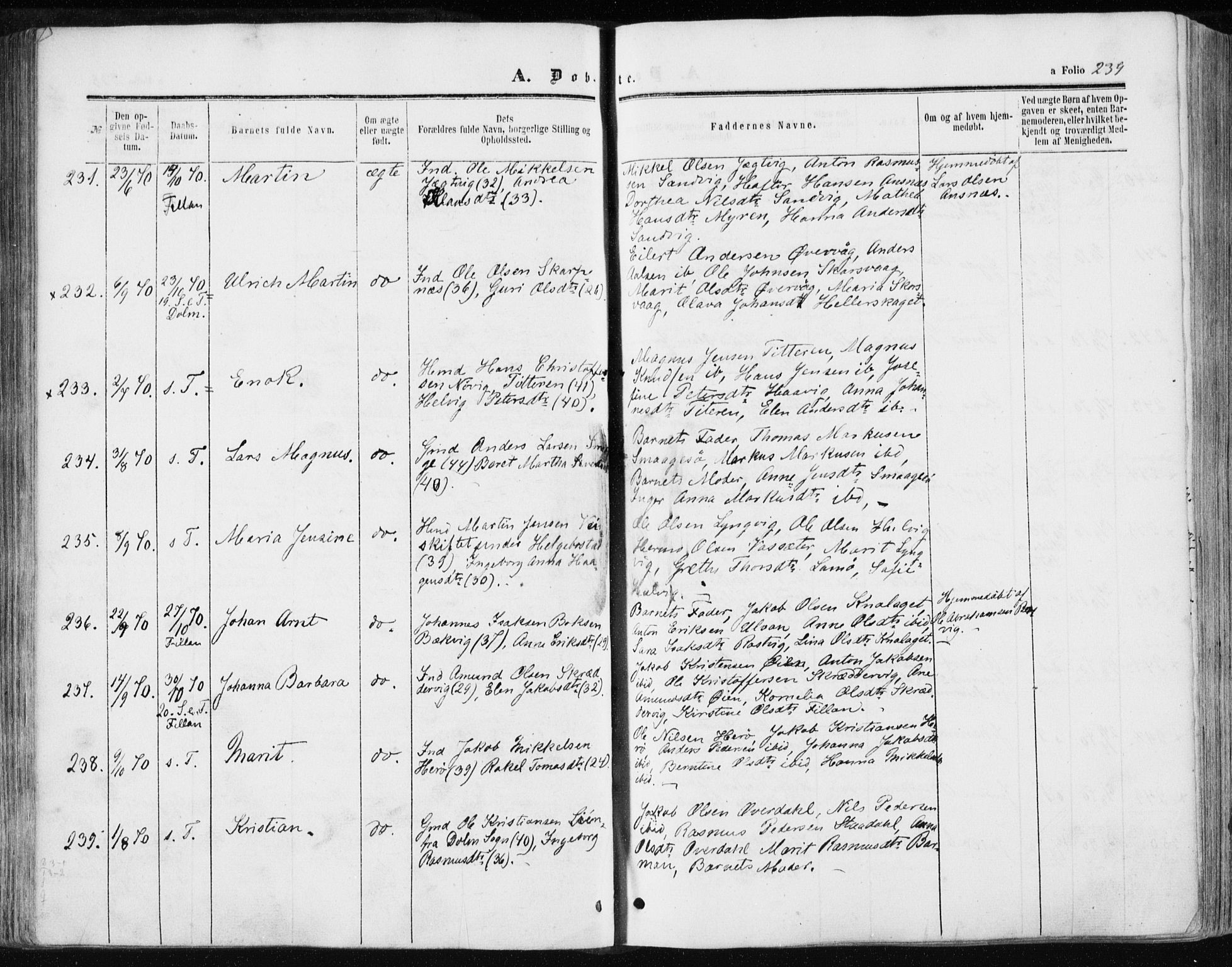 Ministerialprotokoller, klokkerbøker og fødselsregistre - Sør-Trøndelag, AV/SAT-A-1456/634/L0531: Parish register (official) no. 634A07, 1861-1870, p. 239