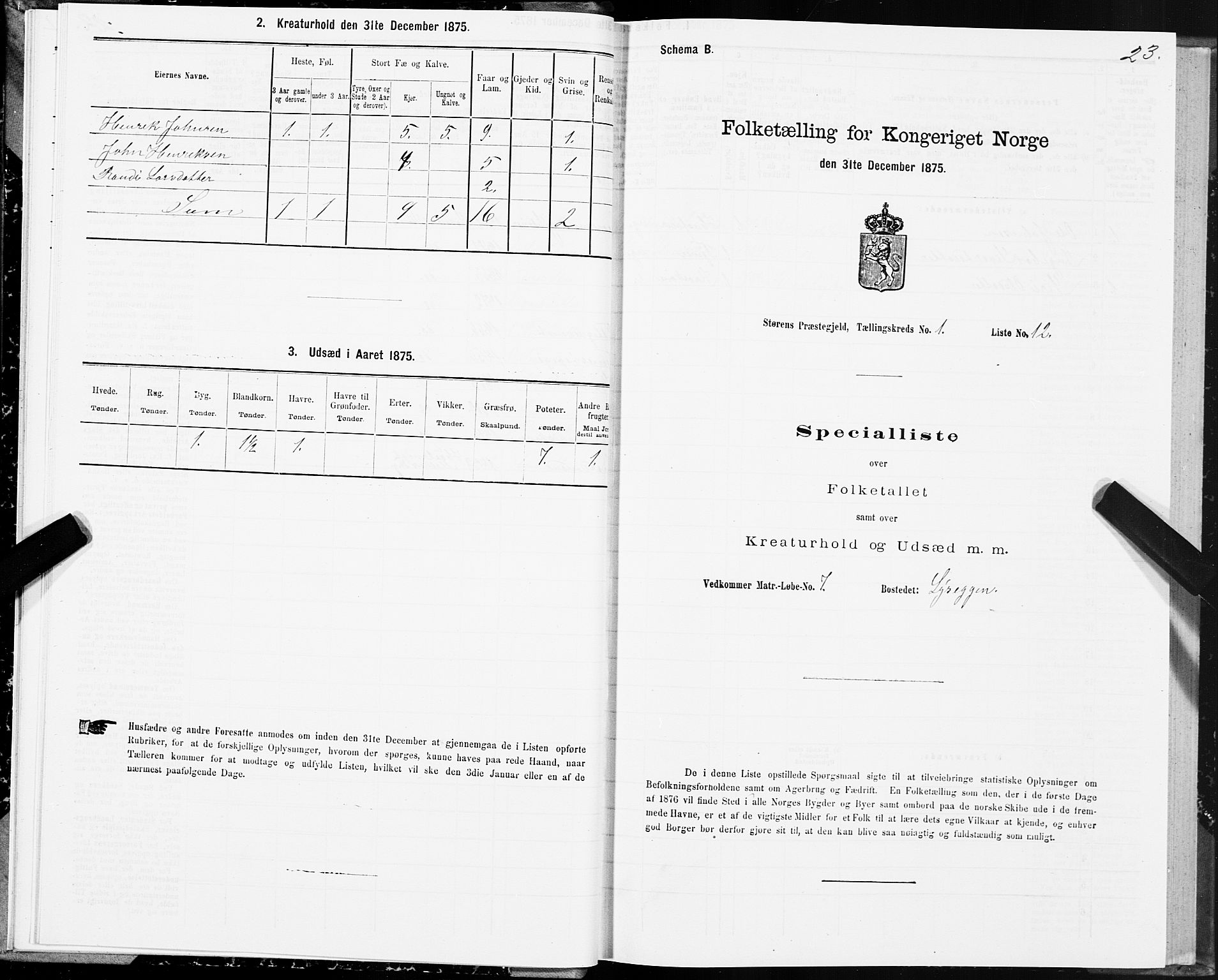 SAT, 1875 census for 1648P Støren, 1875, p. 7023