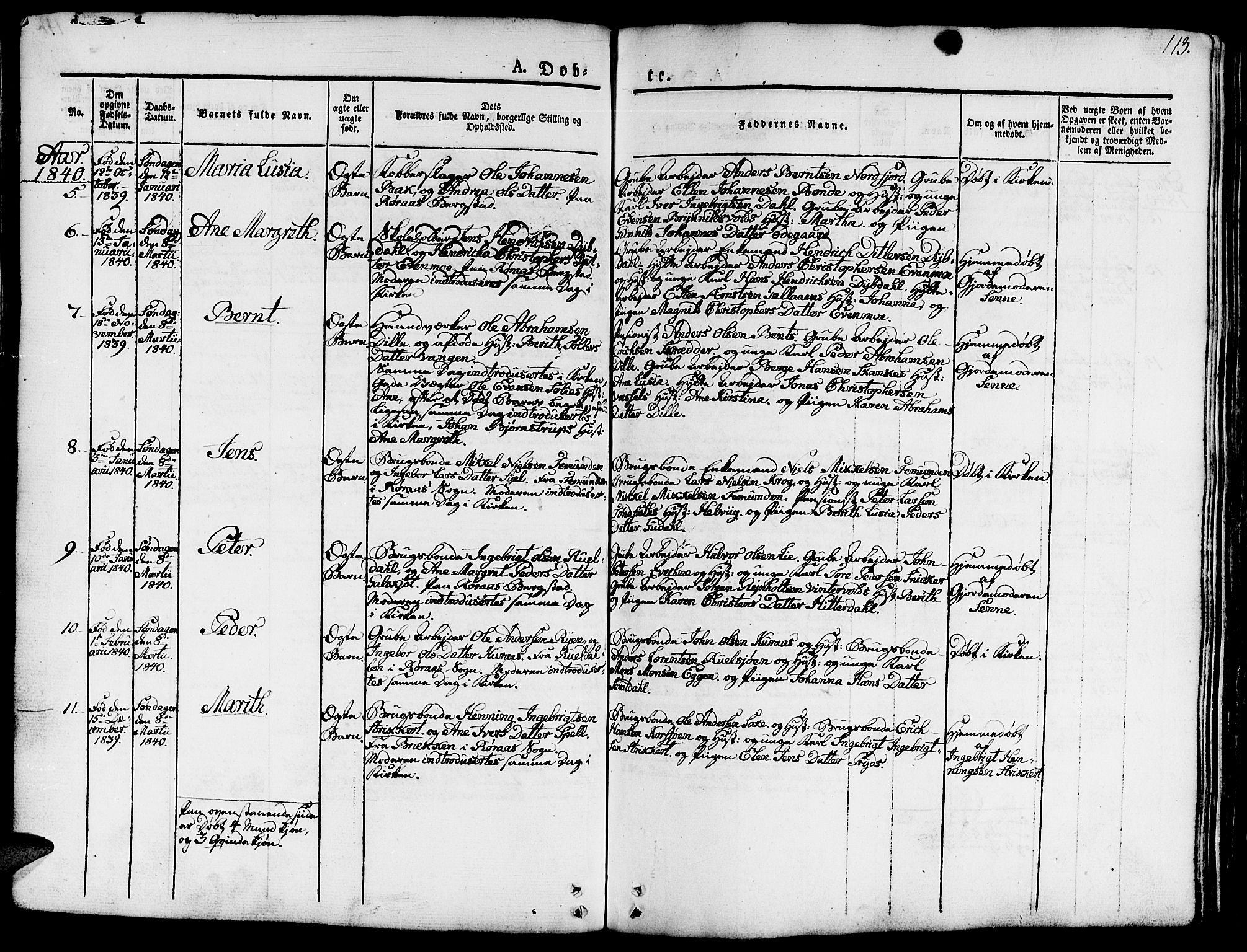 Ministerialprotokoller, klokkerbøker og fødselsregistre - Sør-Trøndelag, SAT/A-1456/681/L0938: Parish register (copy) no. 681C02, 1829-1879, p. 113