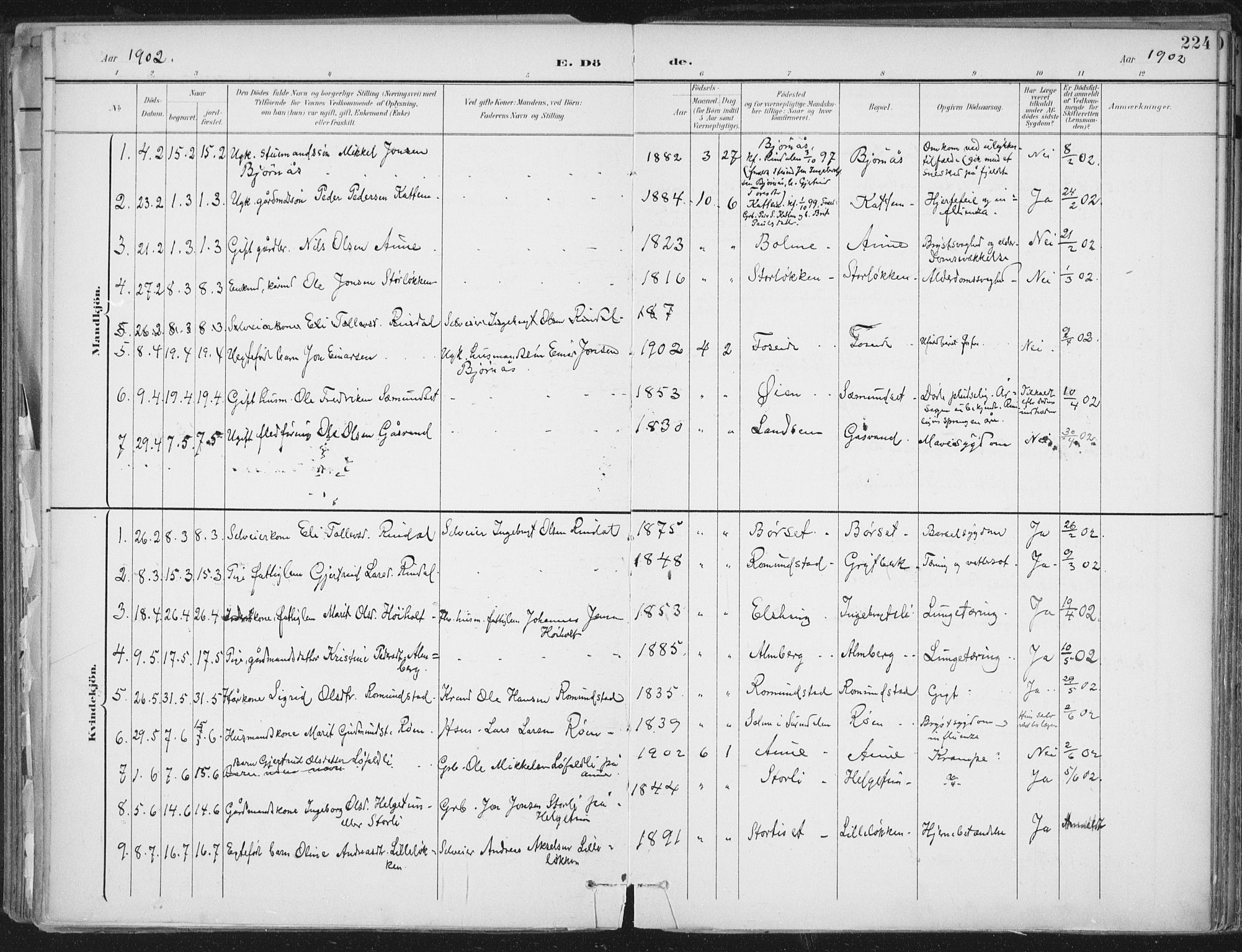 Ministerialprotokoller, klokkerbøker og fødselsregistre - Møre og Romsdal, SAT/A-1454/598/L1072: Parish register (official) no. 598A06, 1896-1910, p. 224