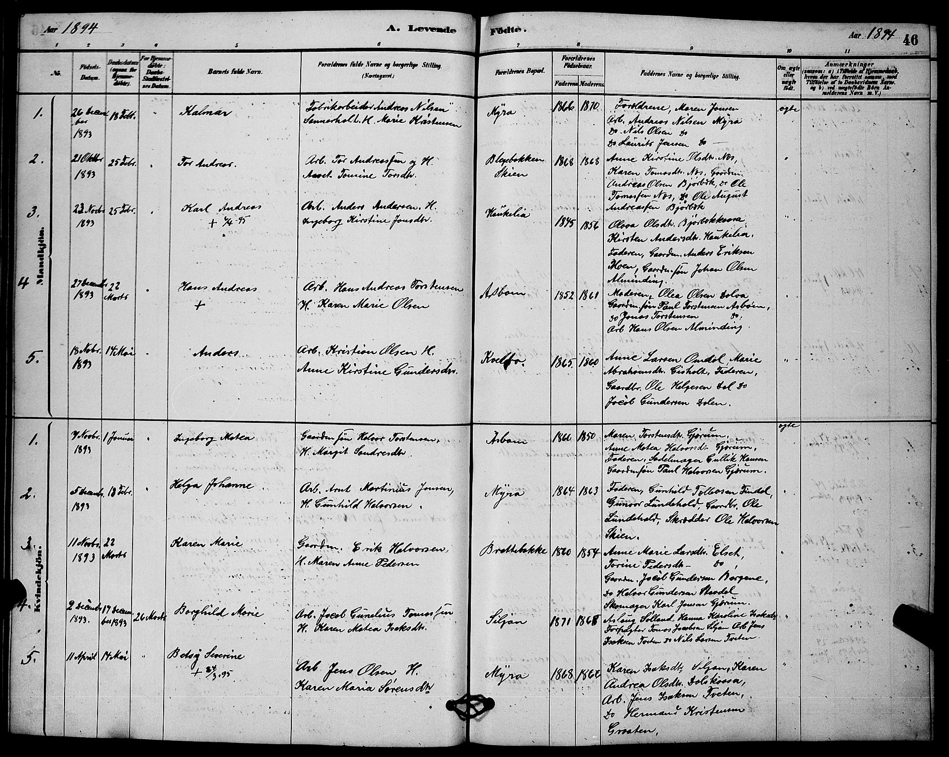 Solum kirkebøker, AV/SAKO-A-306/G/Gb/L0003: Parish register (copy) no. II 3, 1880-1898, p. 46